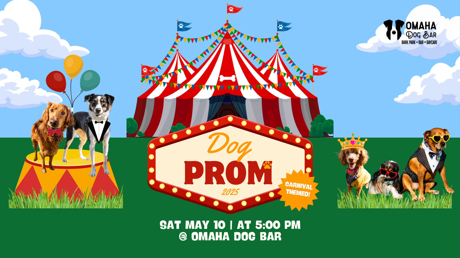 Dog Prom | Omaha Dog Bar