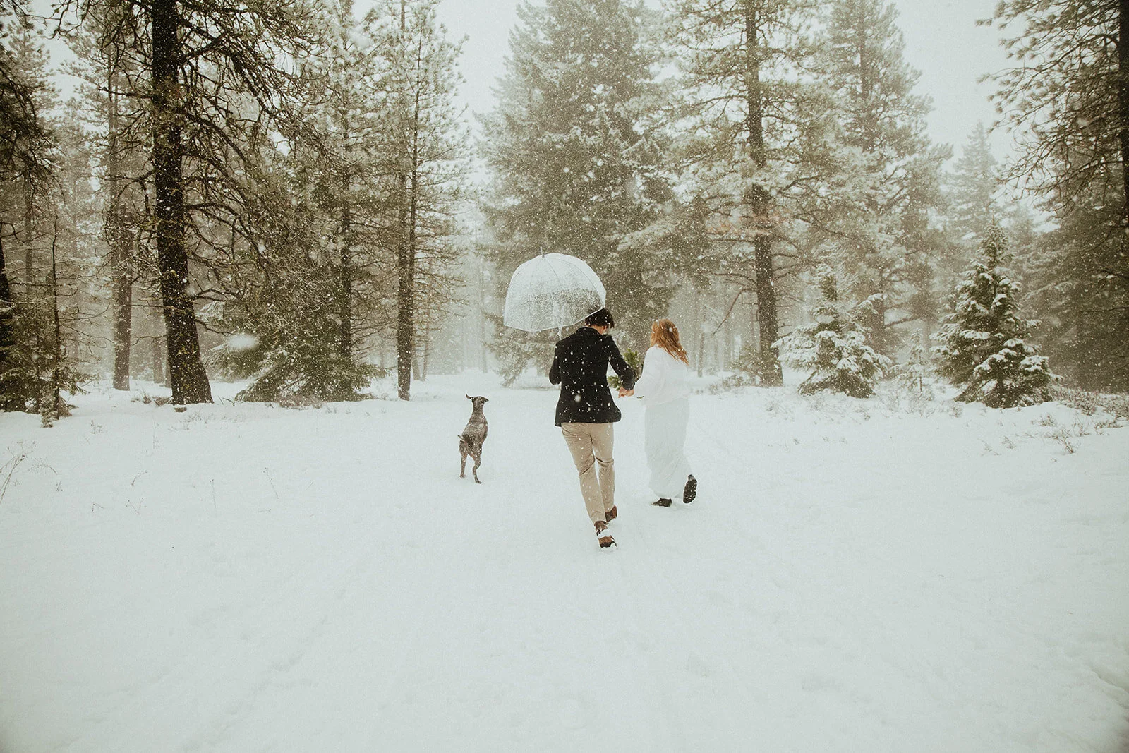 1.5.elopement-115.jpg
