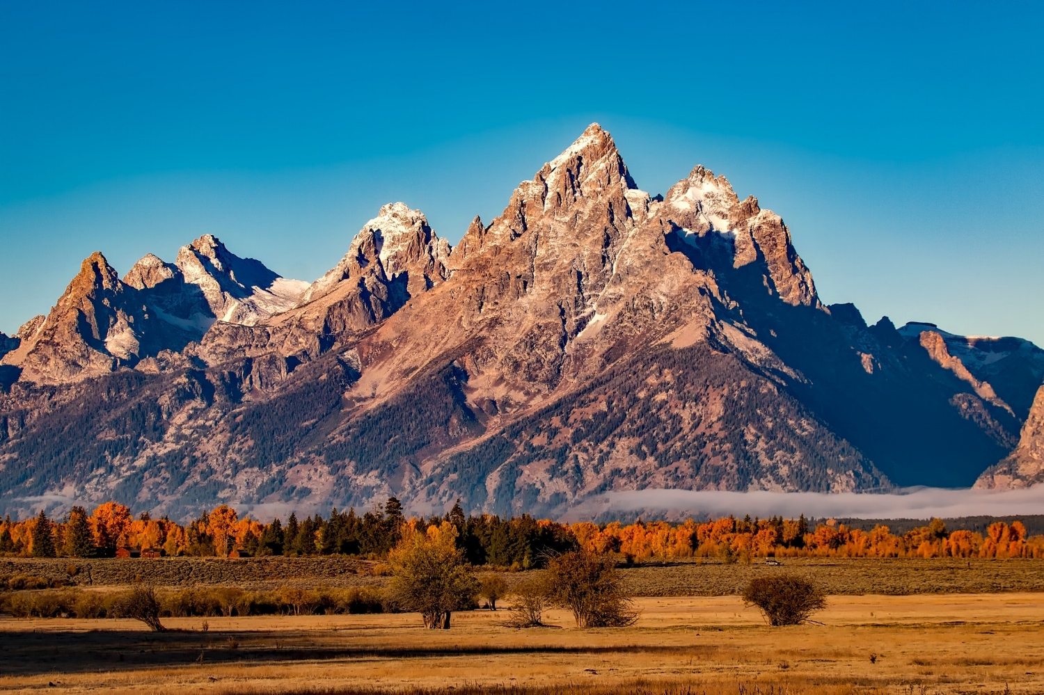 autumn-beautiful-city-210243.jpg