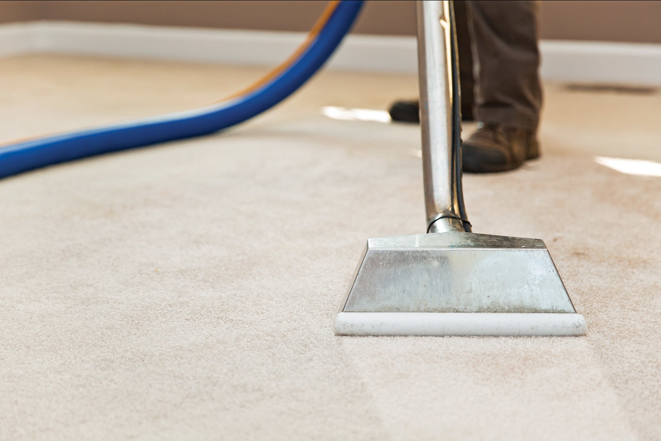 Sacramento Ca Pet Odor Removal Carpet Cleaning Specialist Biosweep