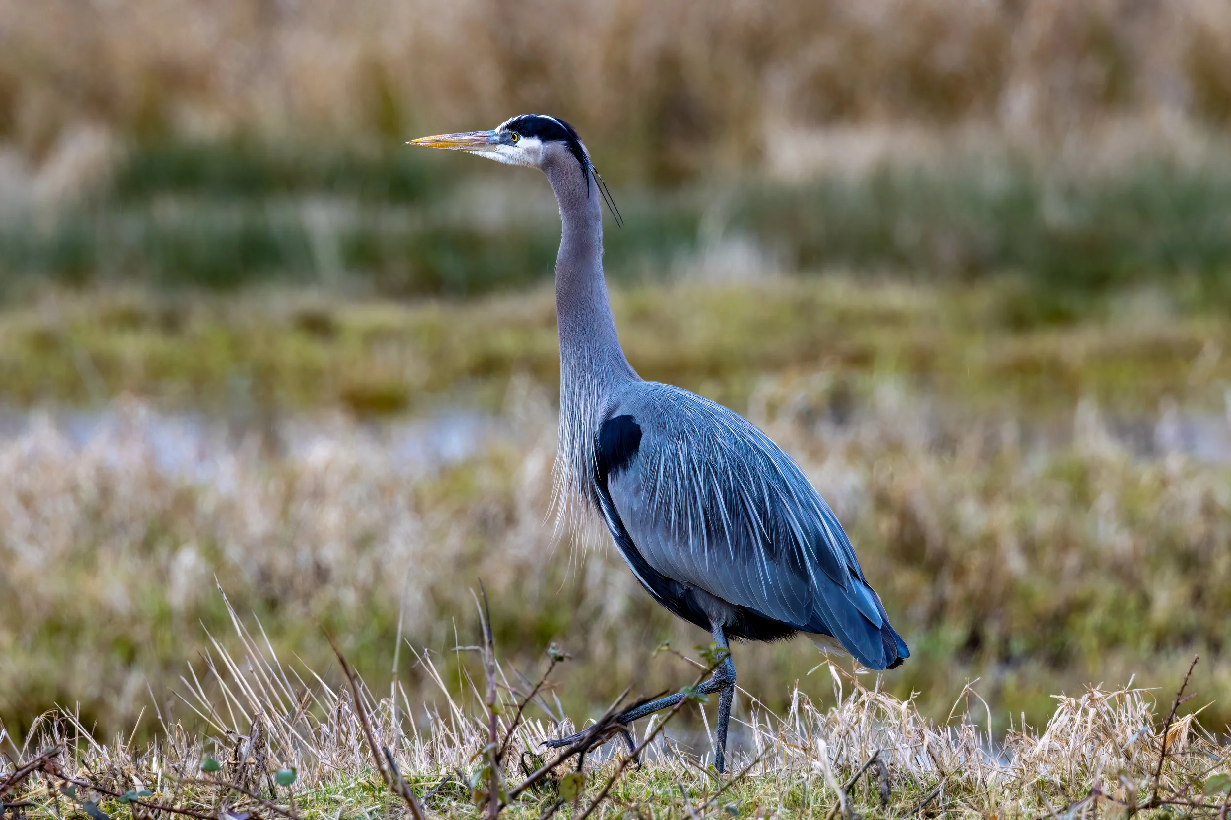 230213-75-Edit.jpg
