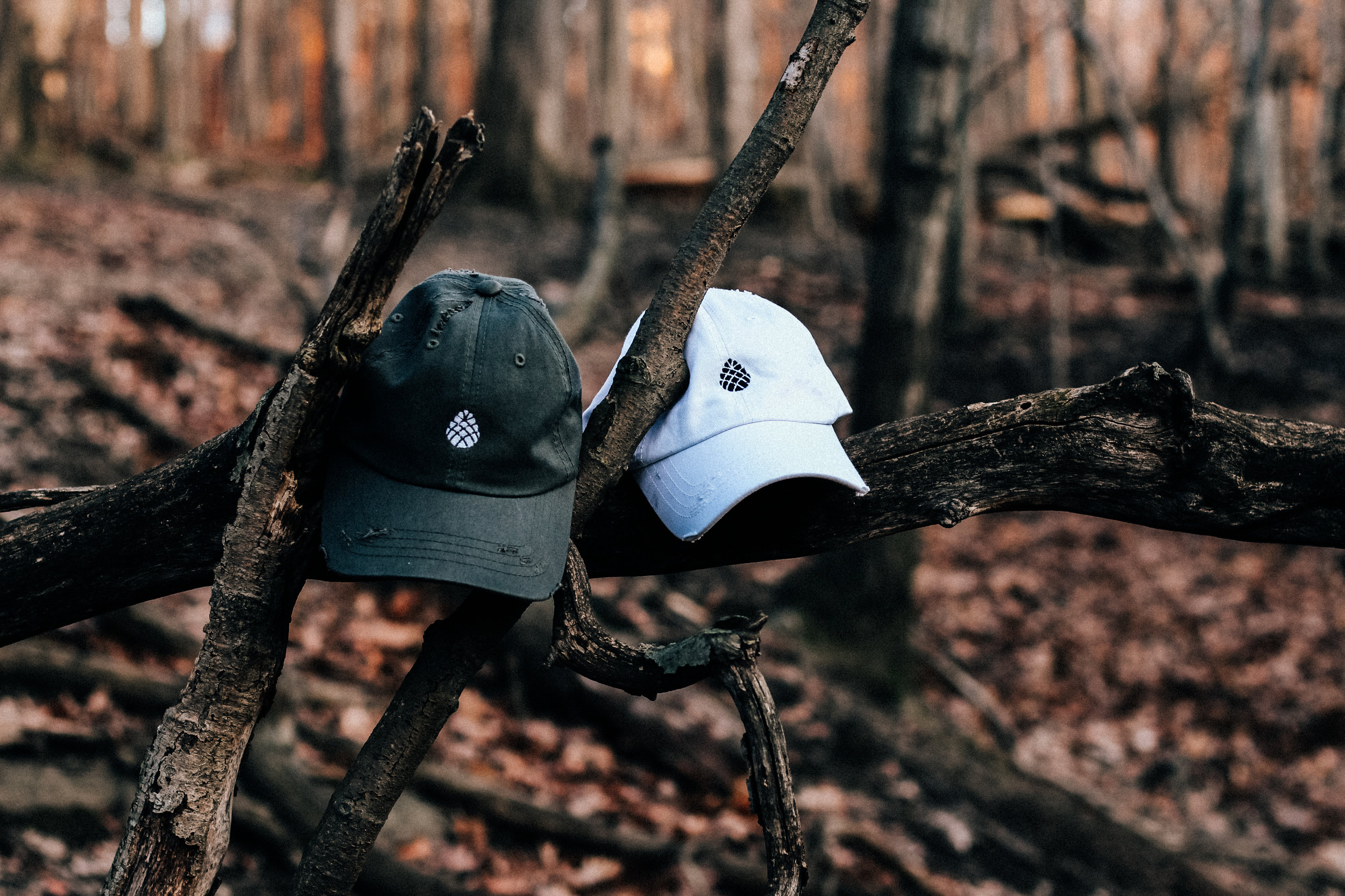 Vintage Pine Outfitters