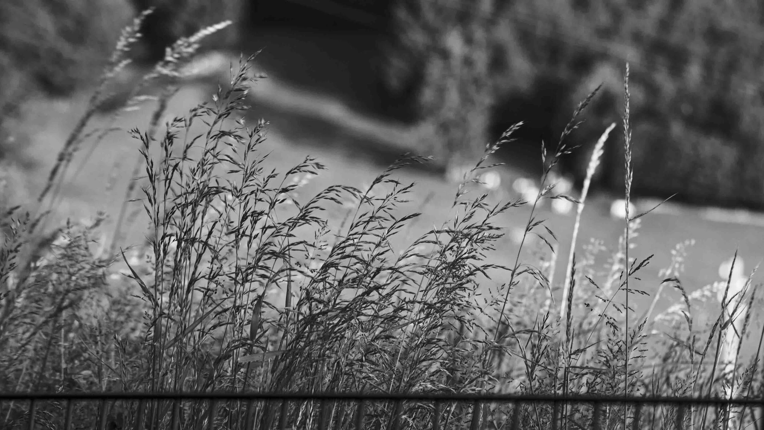 exports_stephane Bielman_NB_5.jpg