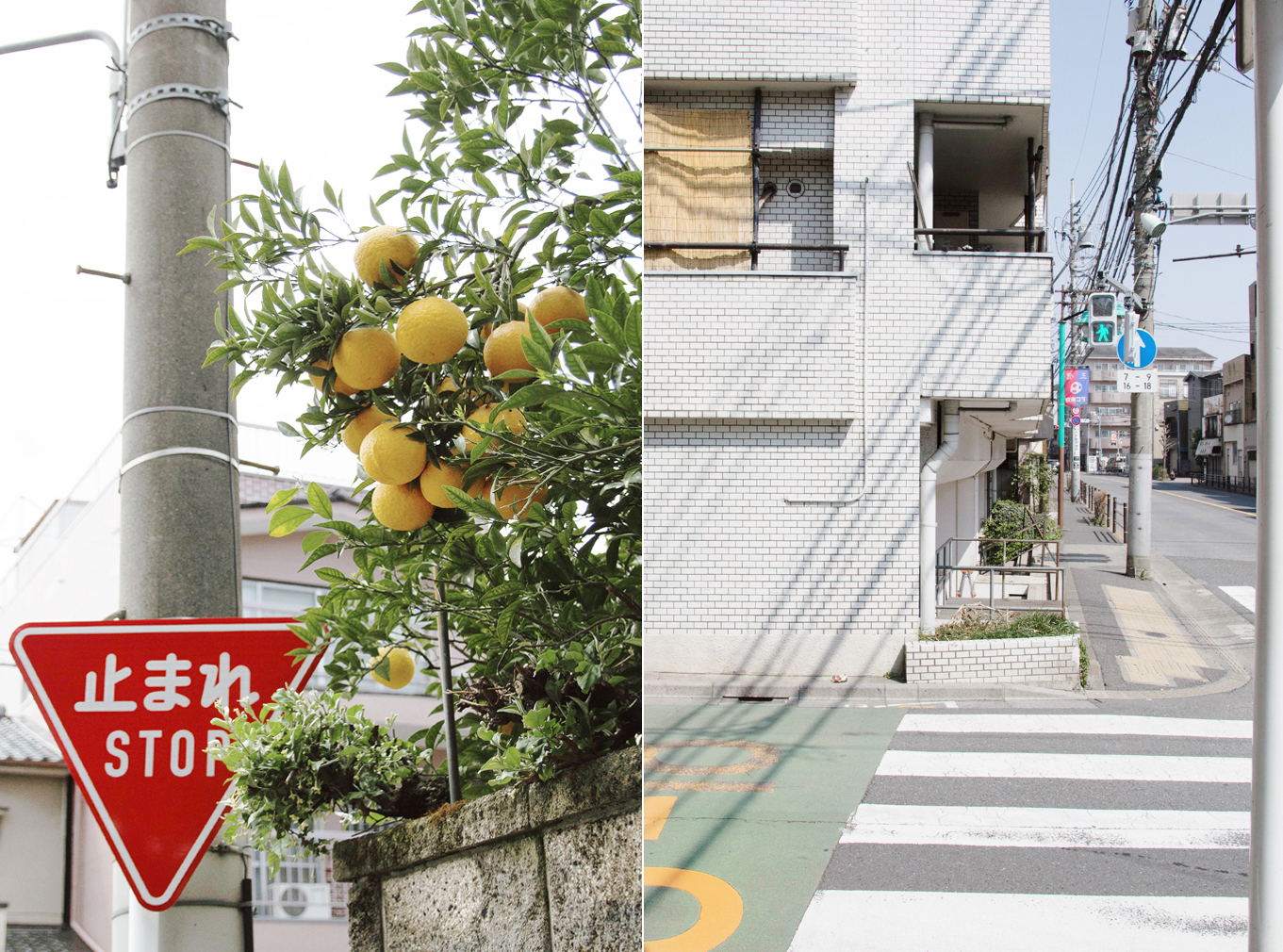japan_16.jpg