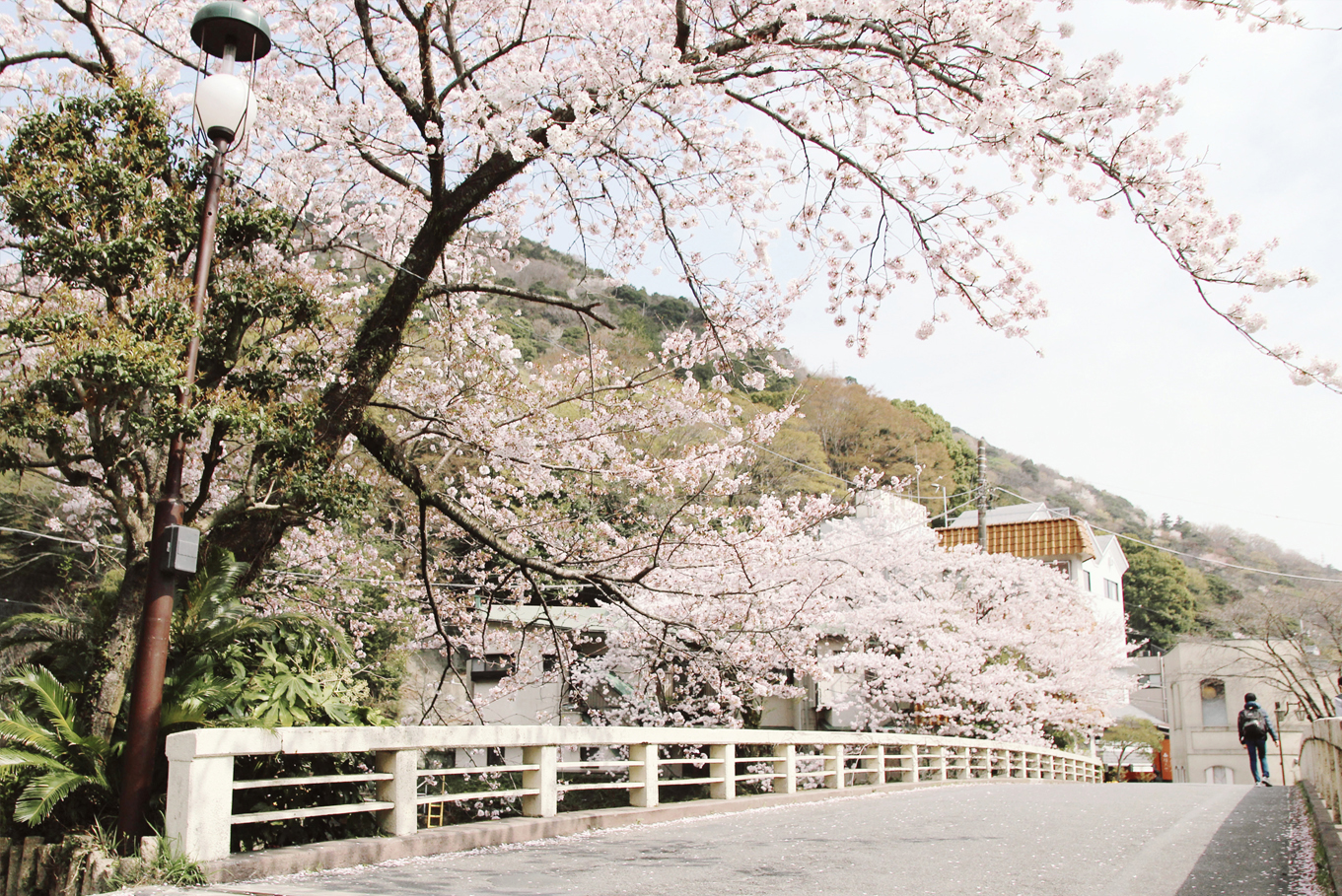 japan_12.jpg