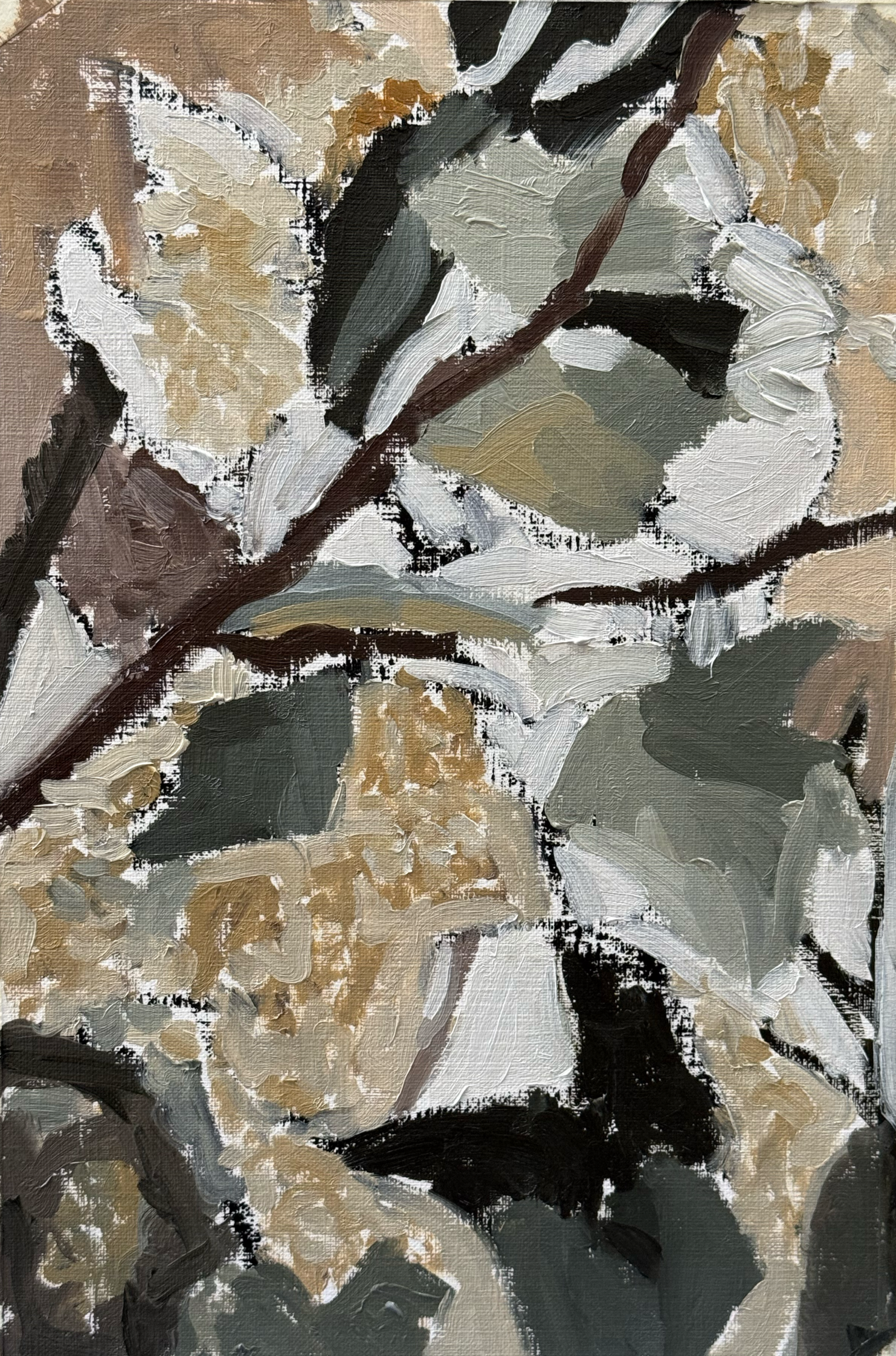 Studio Window,
Oil on paper
Price: $200