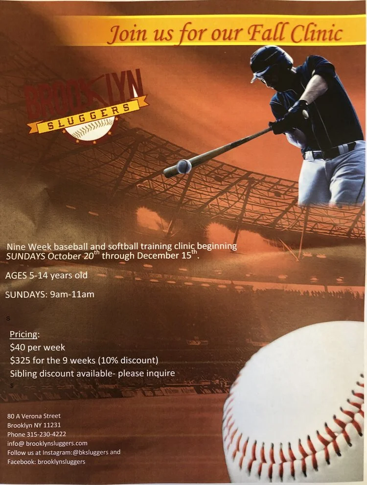 Winter Baseball and Softball Training Clinic