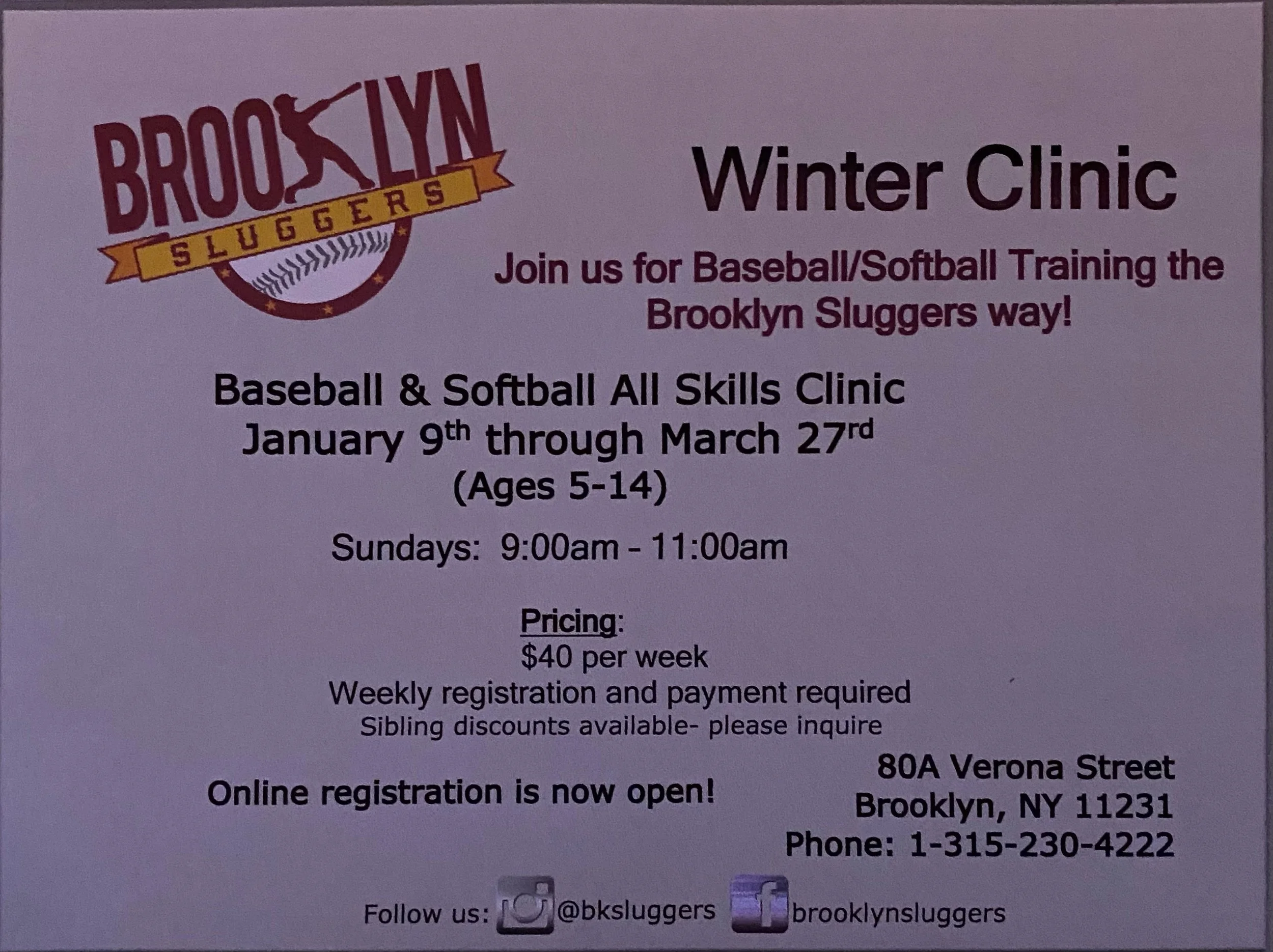 Winter Baseball and Softball Clinic