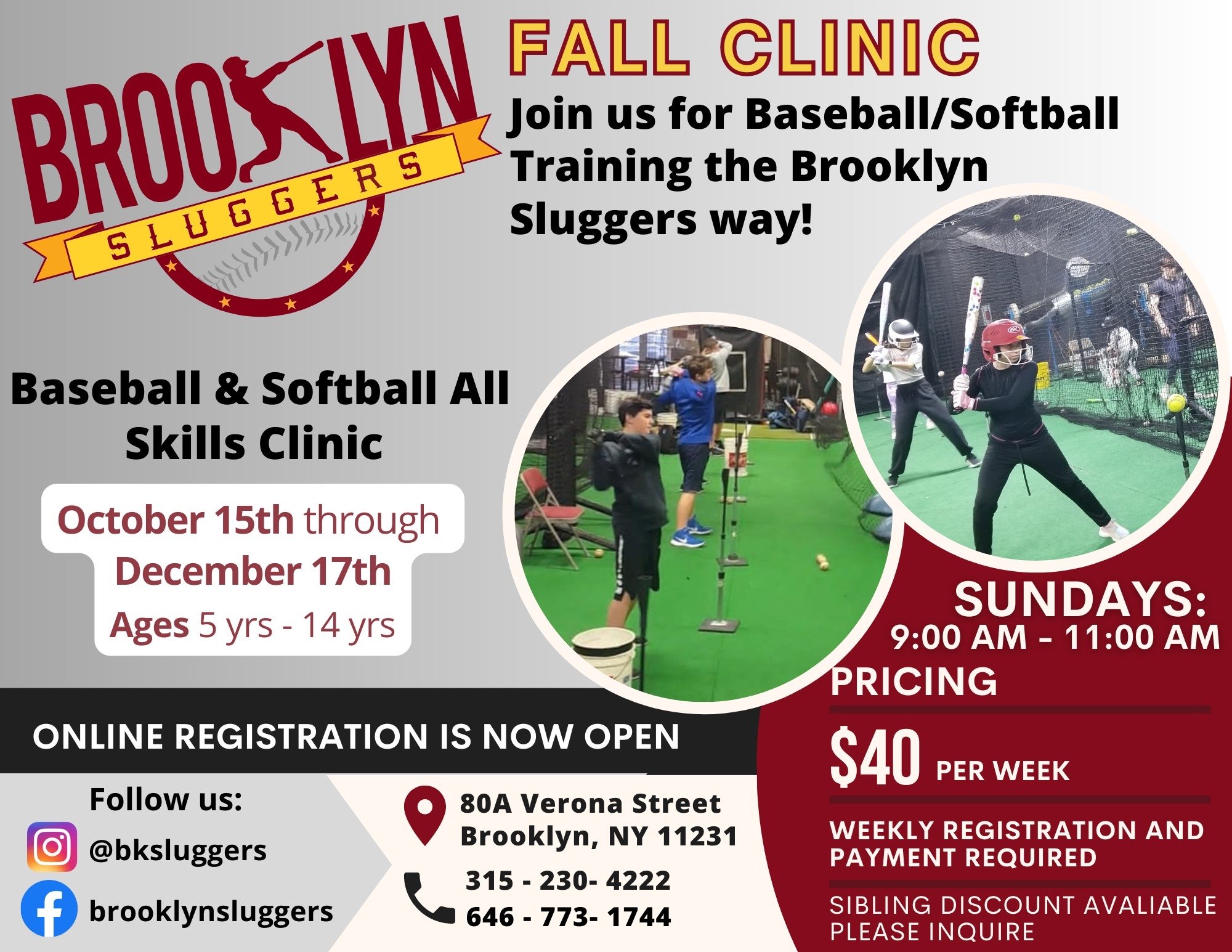 Fall Baseball and Softball Hitting Clinic   
