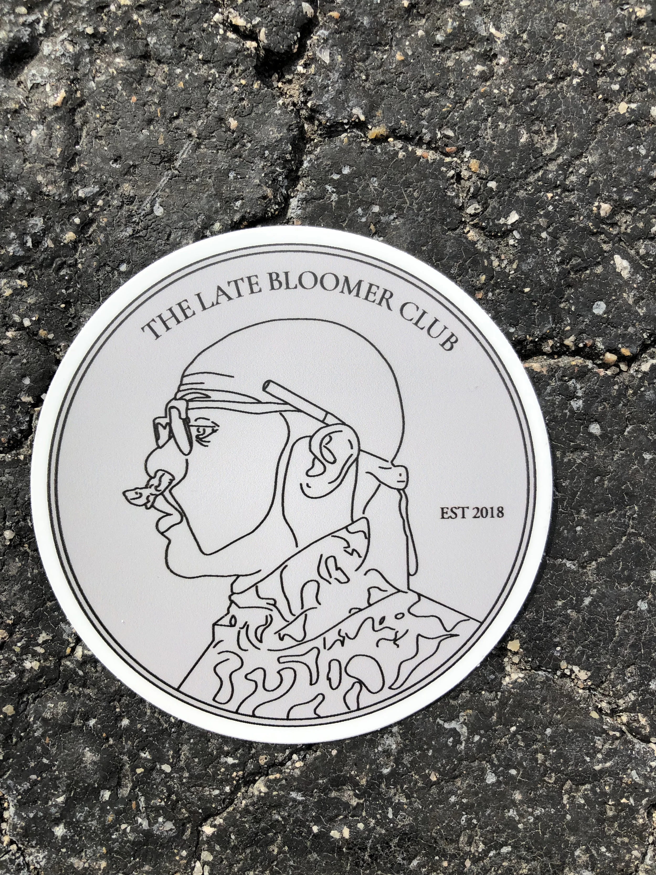 NICKEL NICKEL STICKER PIC.jpg