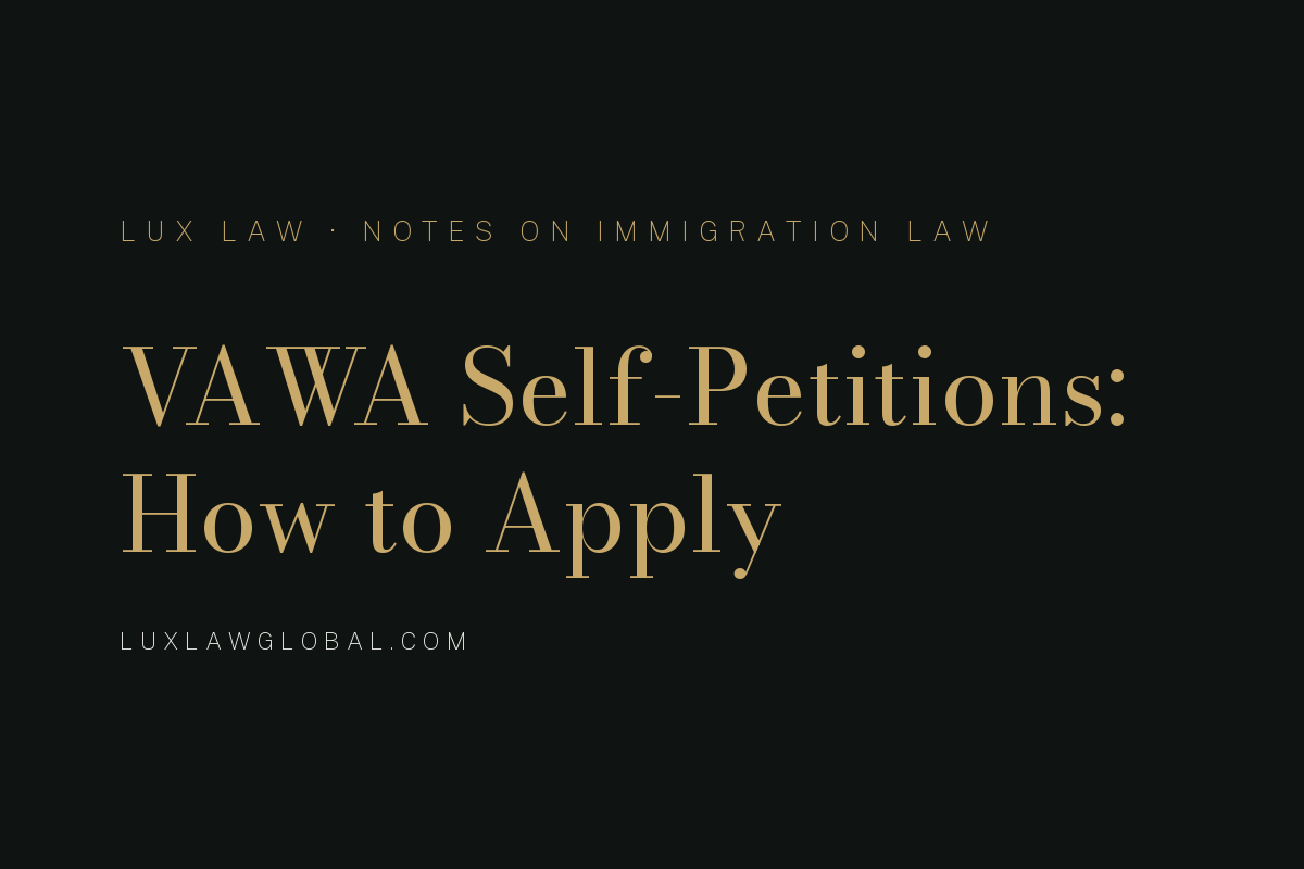  Violence Against Women Act (VAWA) Self-Petitions: How to Apply