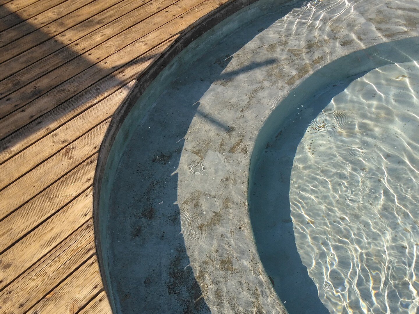 wet pool bar lounge 
#pooldesign #concretepool