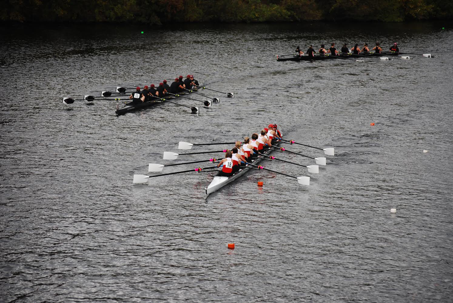 Masters Womens 8+ Racing at the Charles. 📷credit: Loring Weidner.