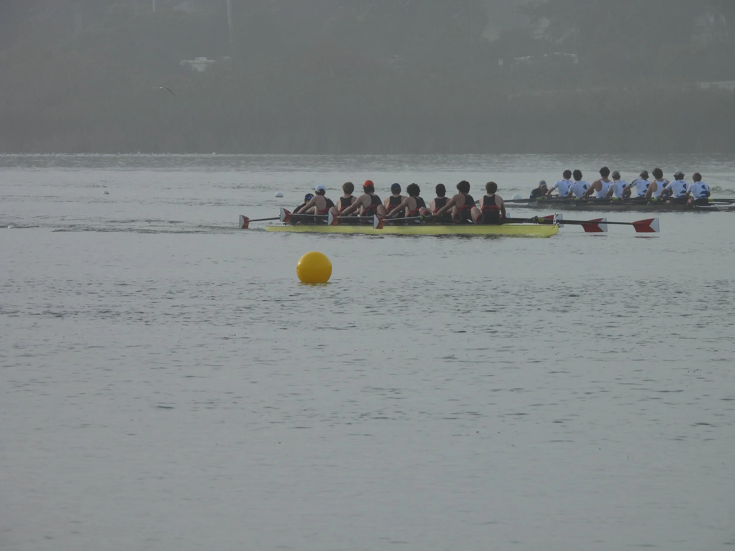 Competitive Junior Rowing — Marin Rowing Association