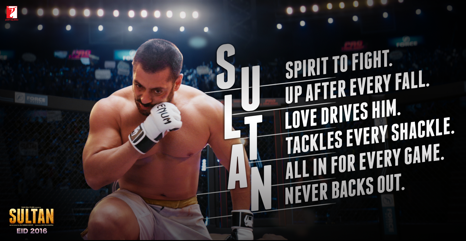 Motivation 3 SULTAN.png