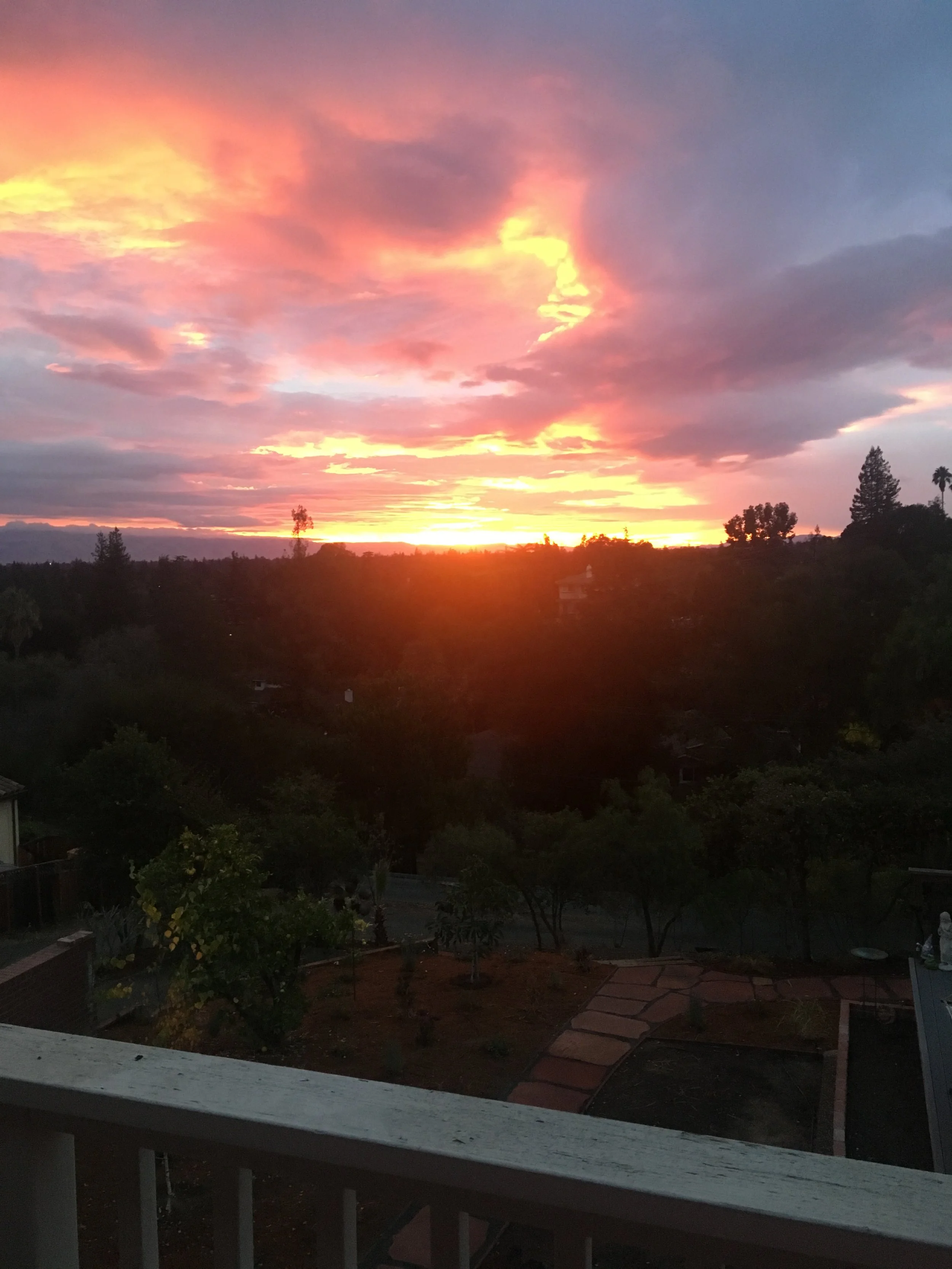 Photo by Susan Godfrey