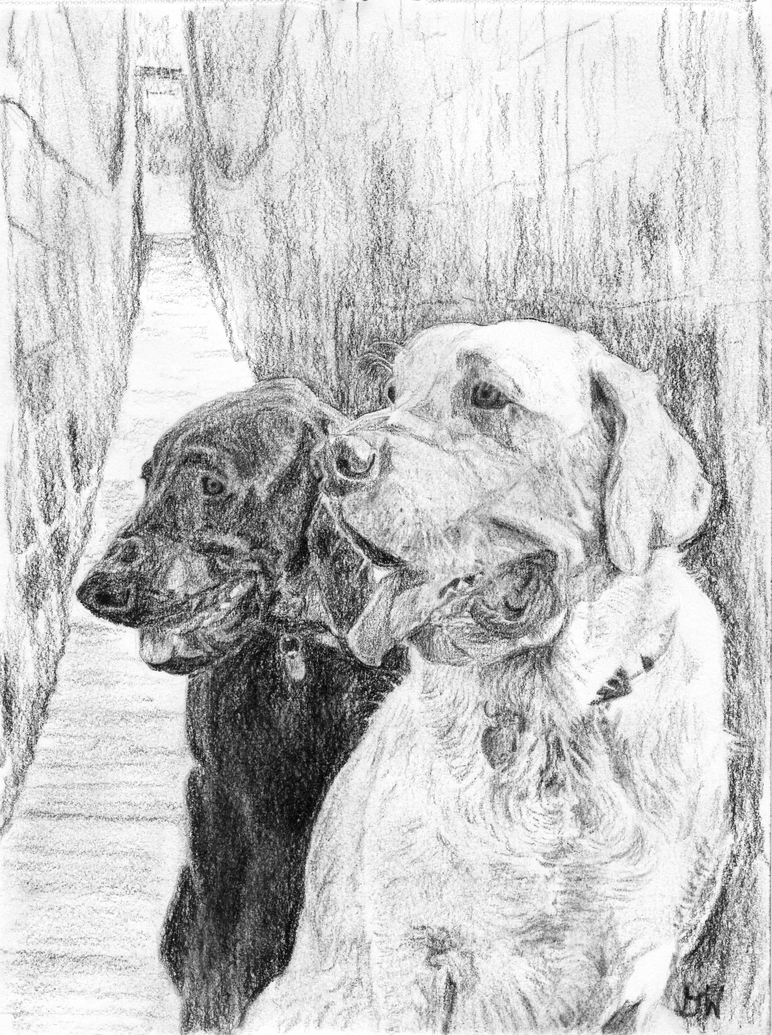 Huck and Yeti (Donna Markey).jpeg