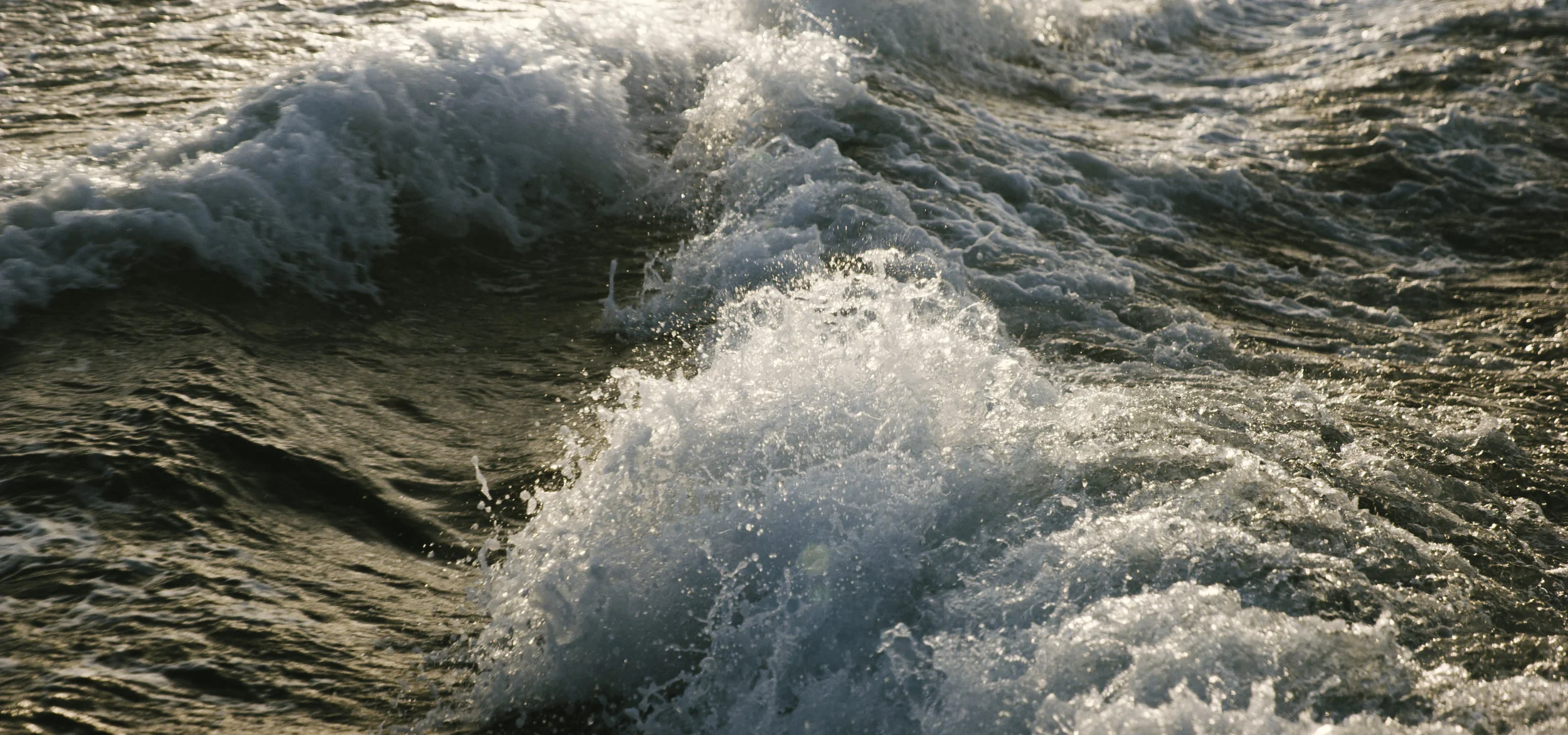 RDVX4948.JPG