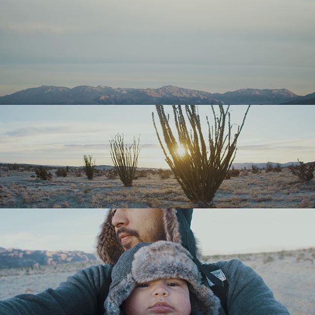 Really enjoyed the first few moments of daylight this year with Kirin. We went for a little walk this morning with Gunner out in the desert. I love using these opportunities to explain to Kirin a little bit about photography and film hoping it sticks