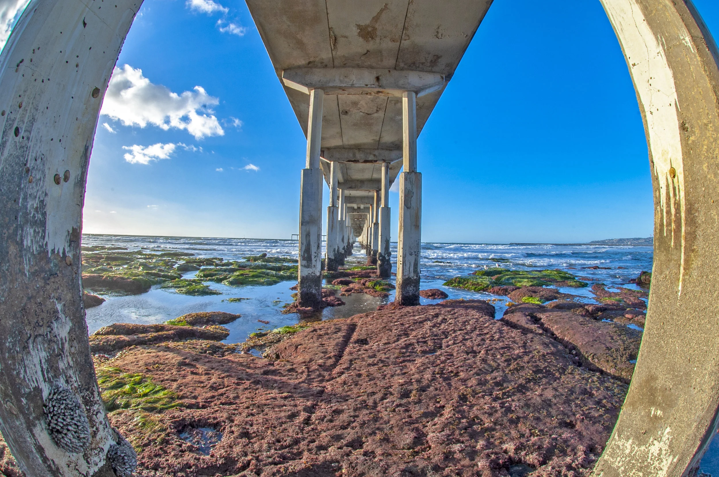 ocean beach pier 2 .jpg