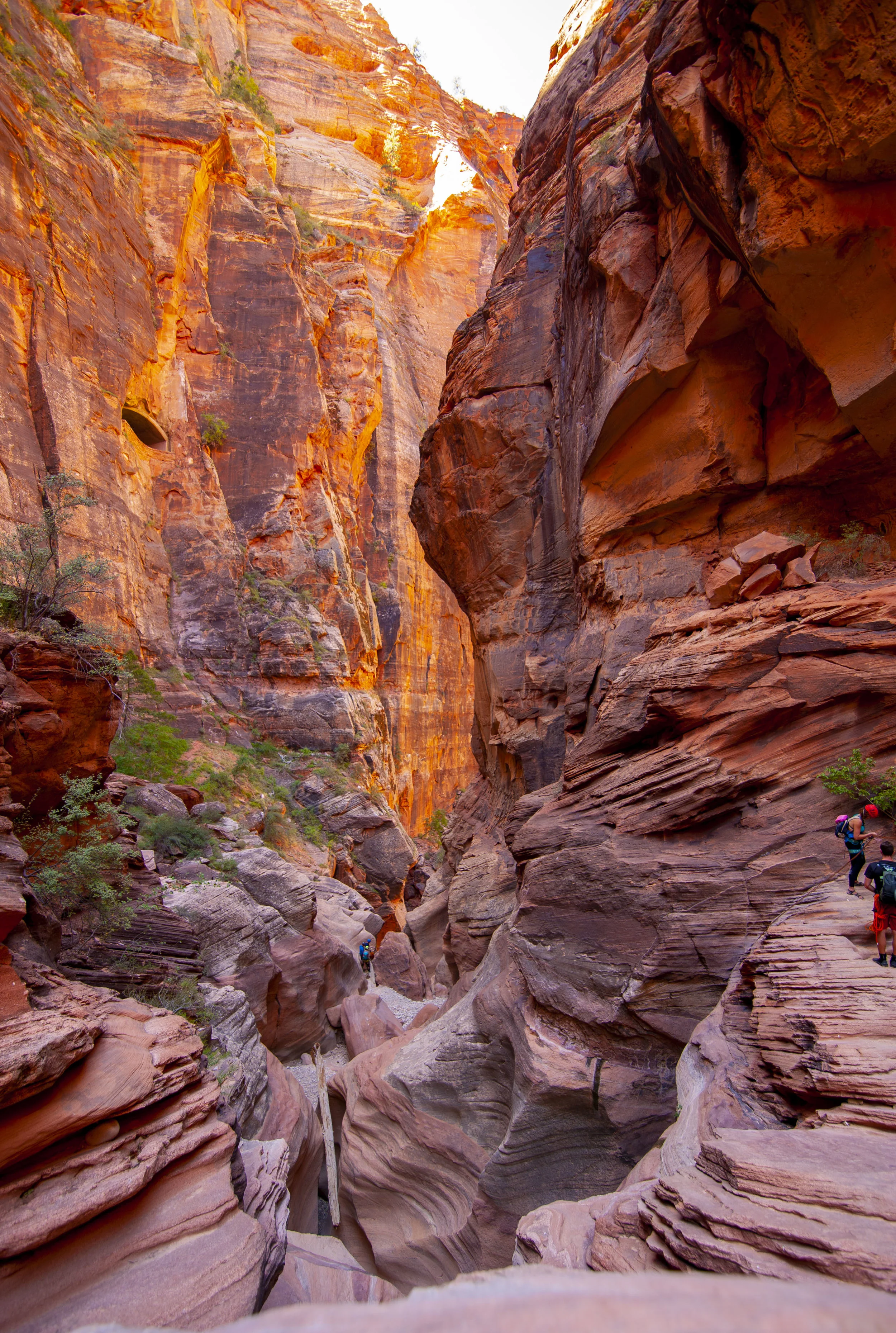 Pine  Creek Zion Park _21.JPG