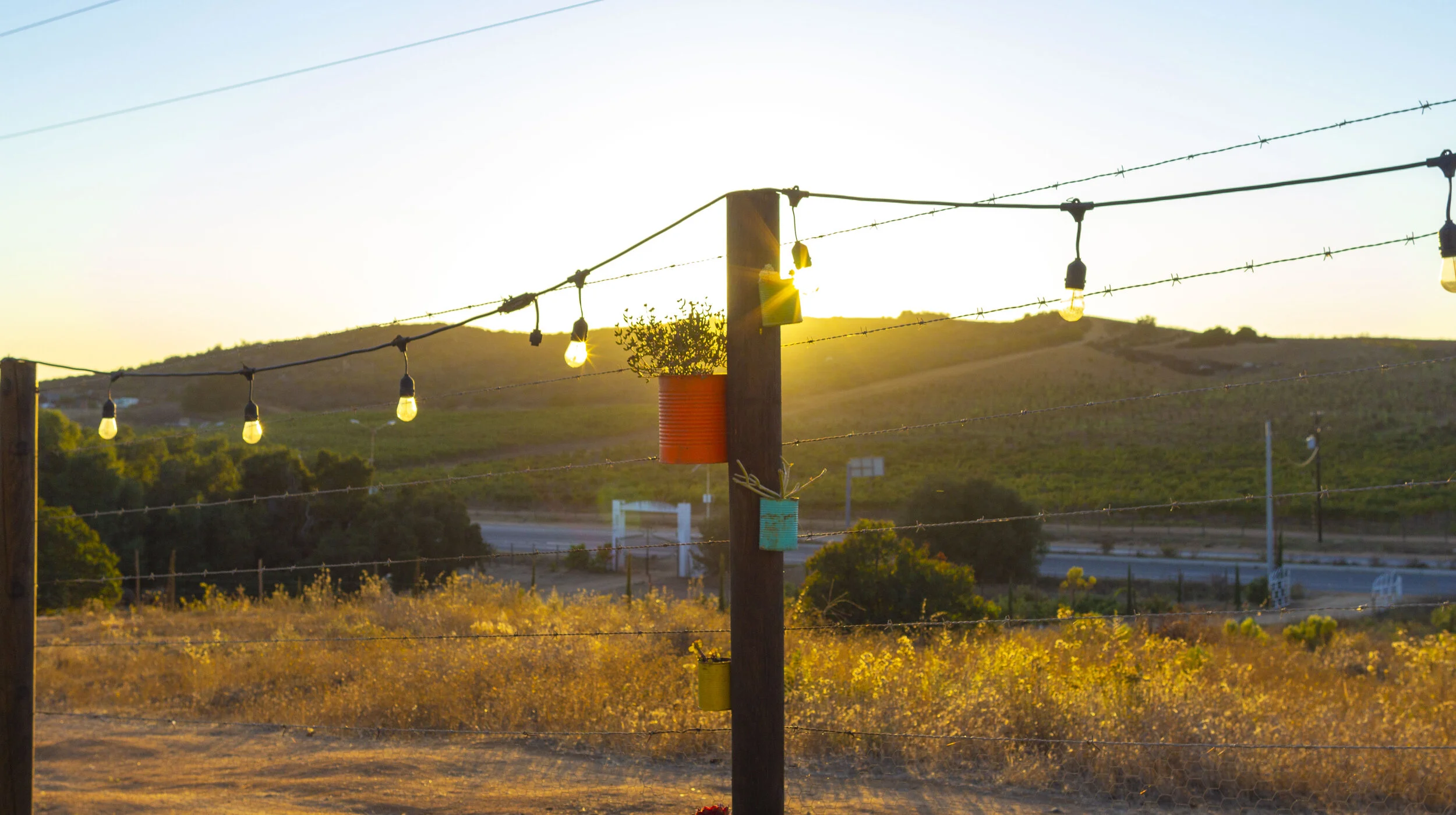 Valle  de Guadalupe .JPG