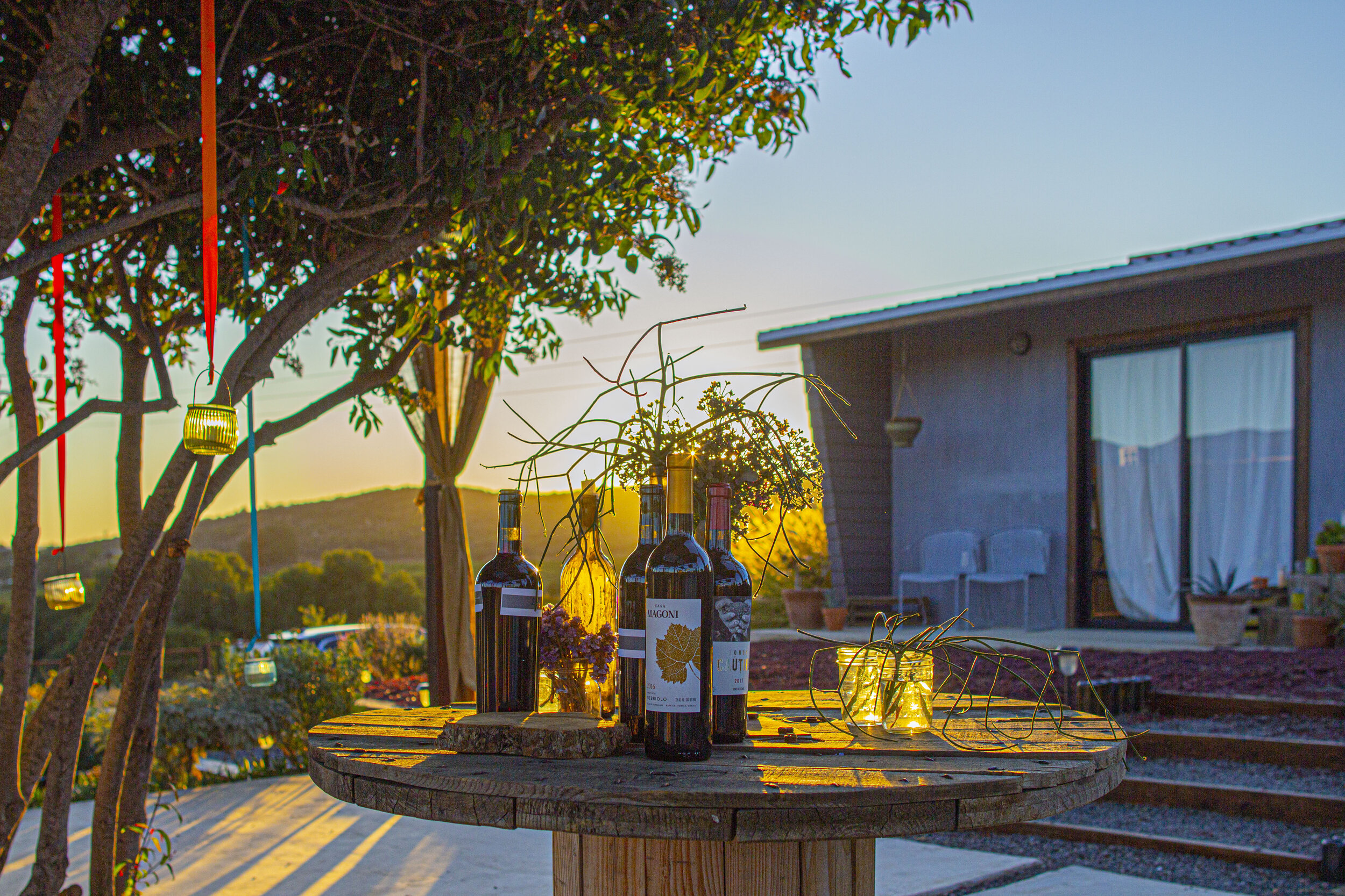 Valle  de Guadalupe _5.JPG