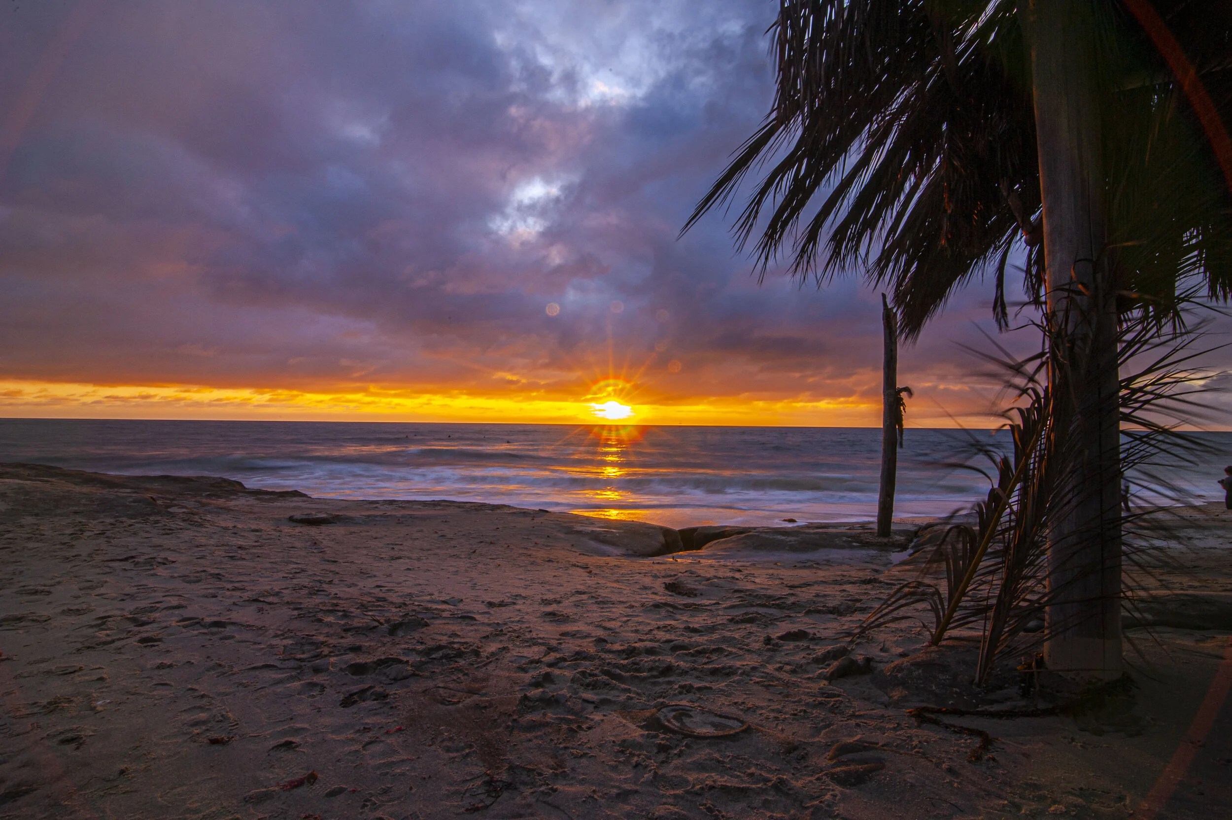 windansea beach _3.JPG