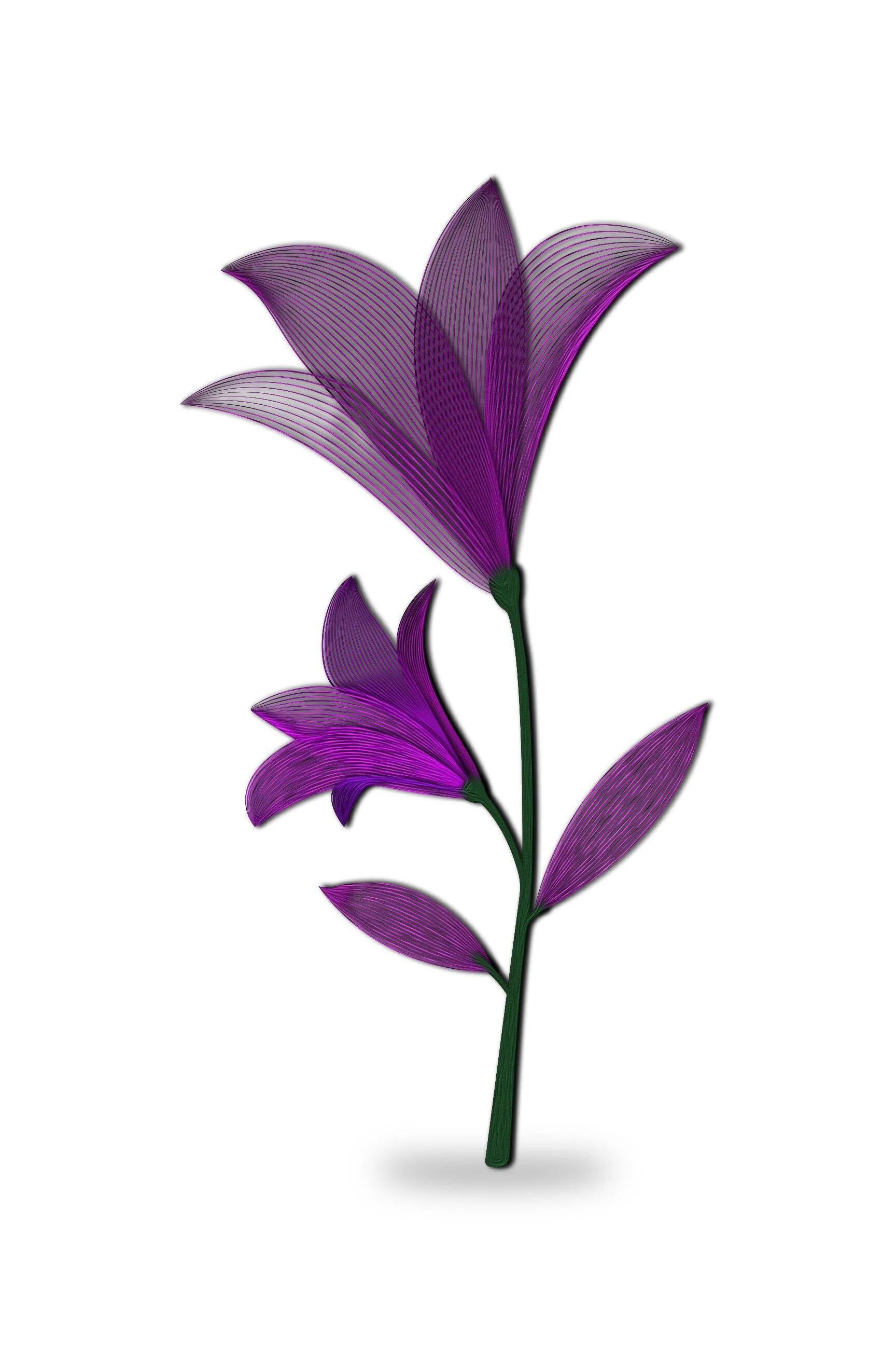 https://i.etsystatic.com/20719919/r/il/b40320/4662697560/il_fullxfull.4662697560_amro.jpg