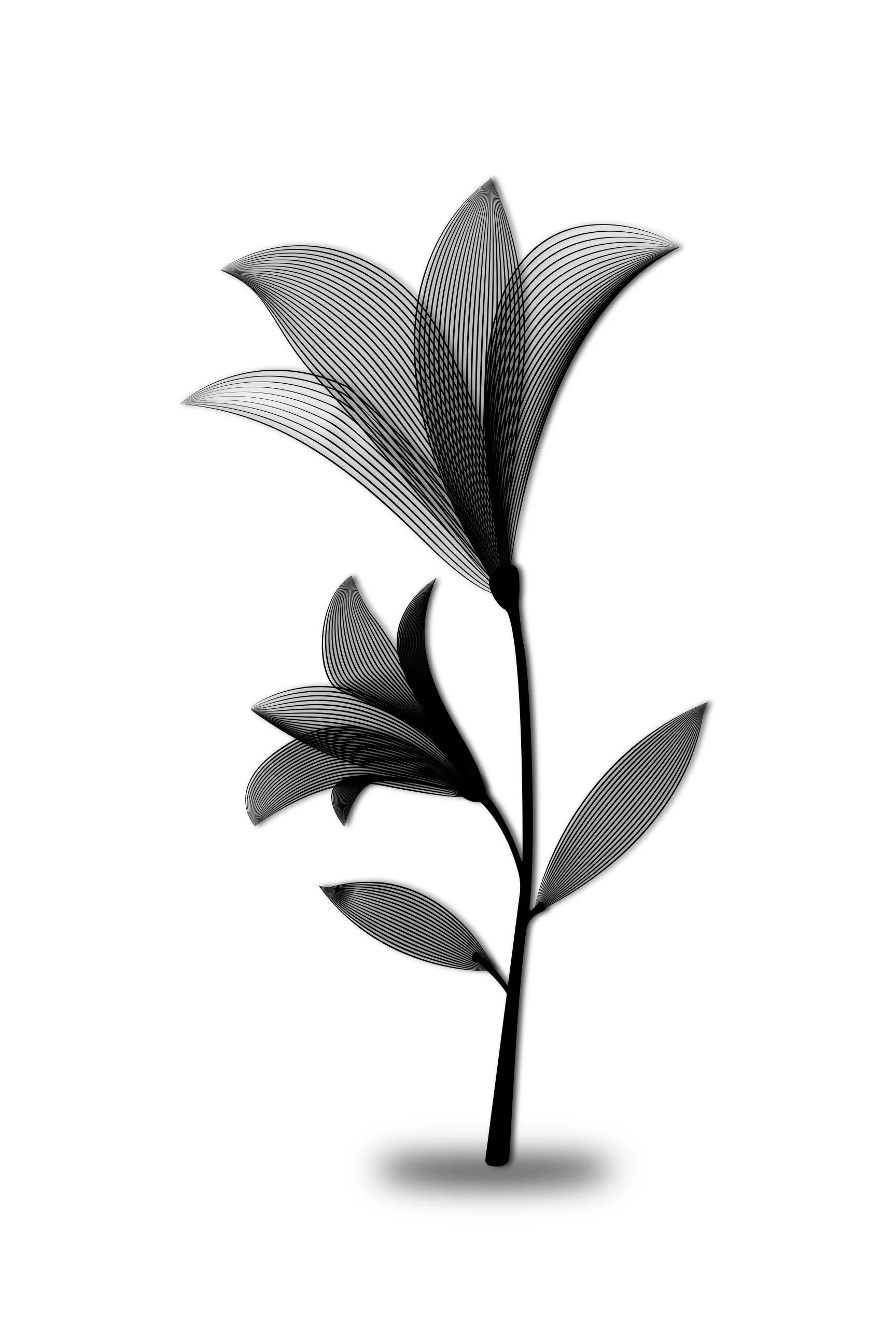 https://i.etsystatic.com/20719919/r/il/797095/4662695100/il_fullxfull.4662695100_tjaj.jpg