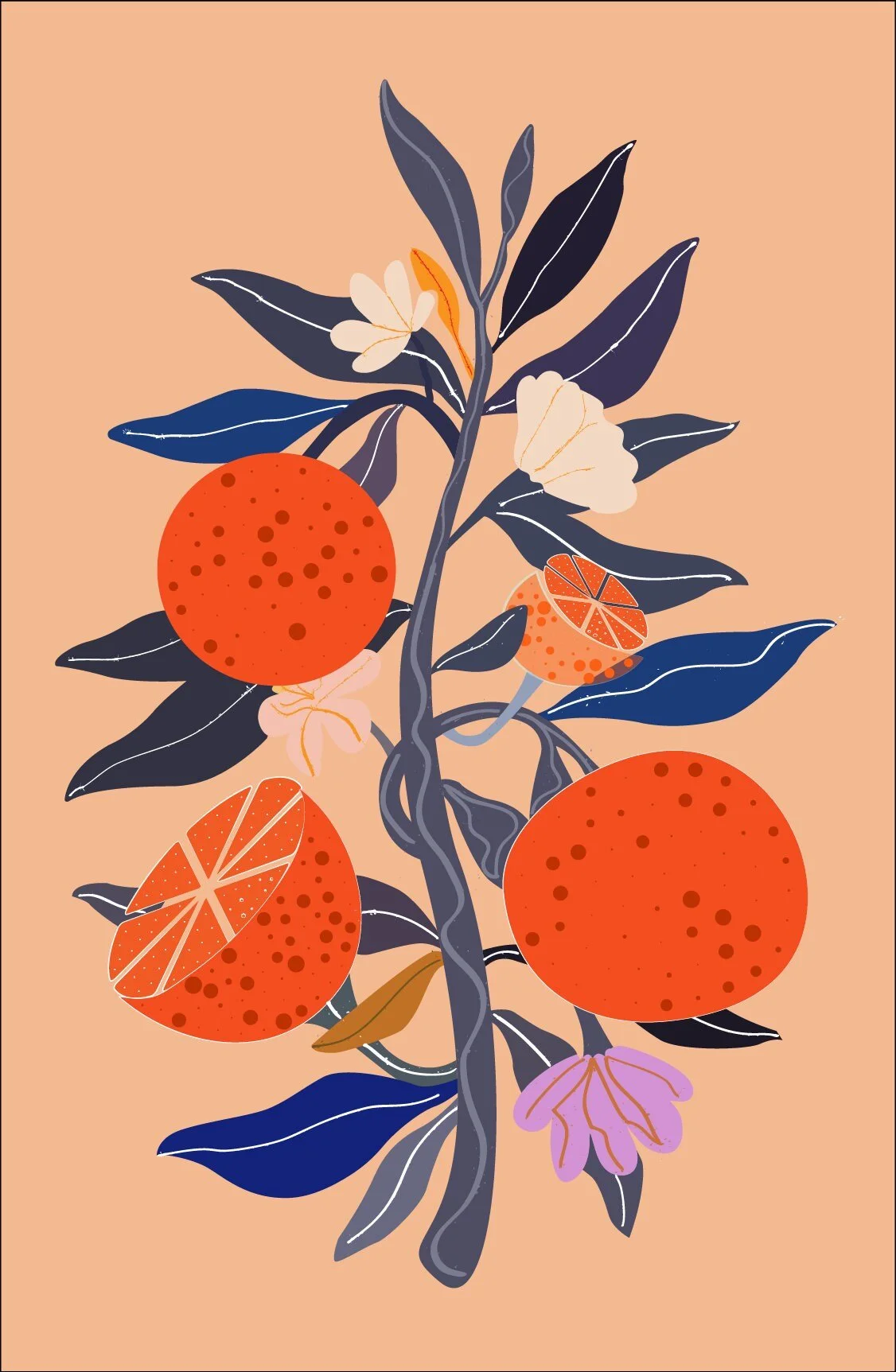 https://i.etsystatic.com/20719919/r/il/6f21da/3707712534/il_fullxfull.3707712534_k56u.jpg