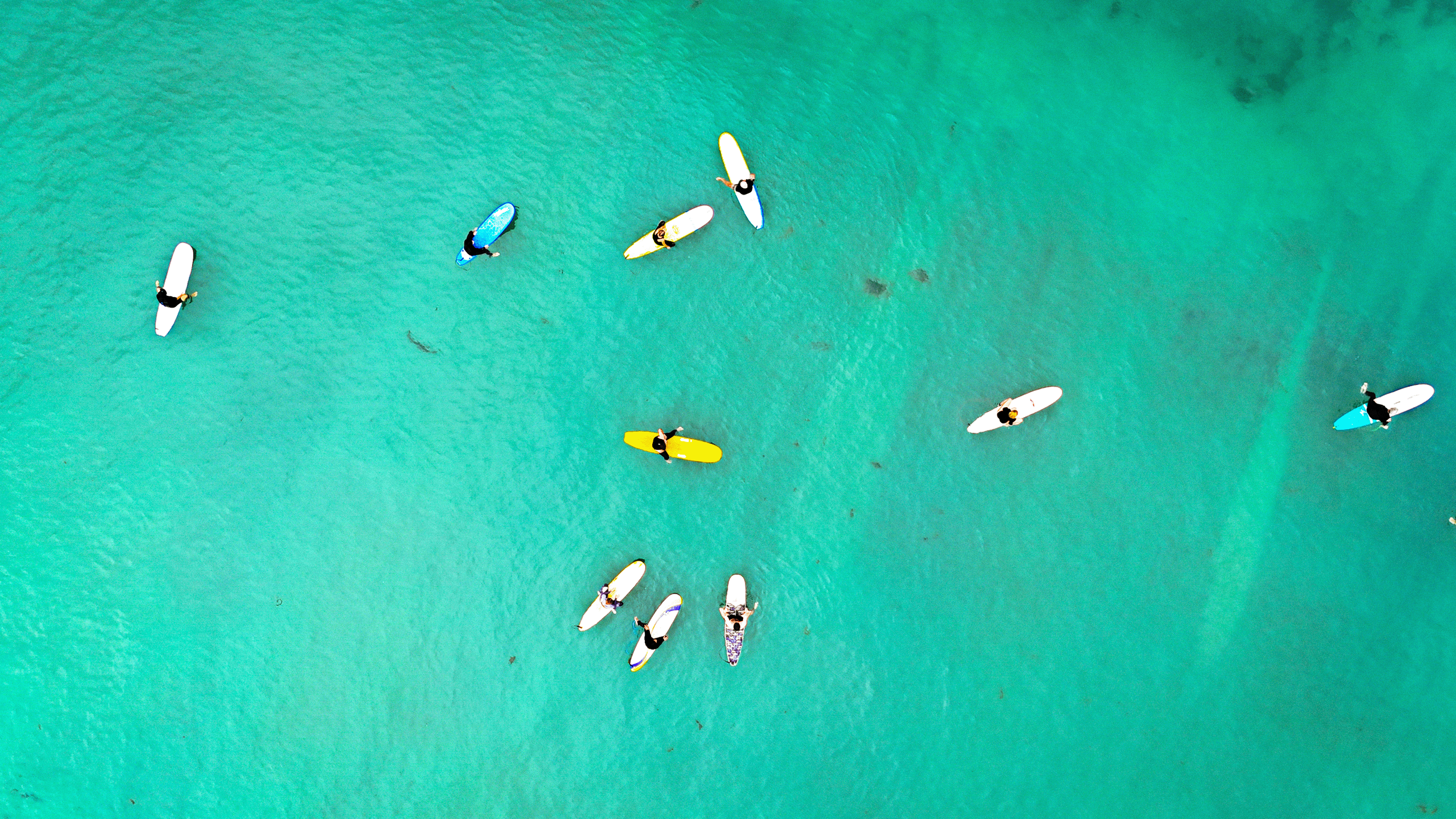 surfing  top view_.png