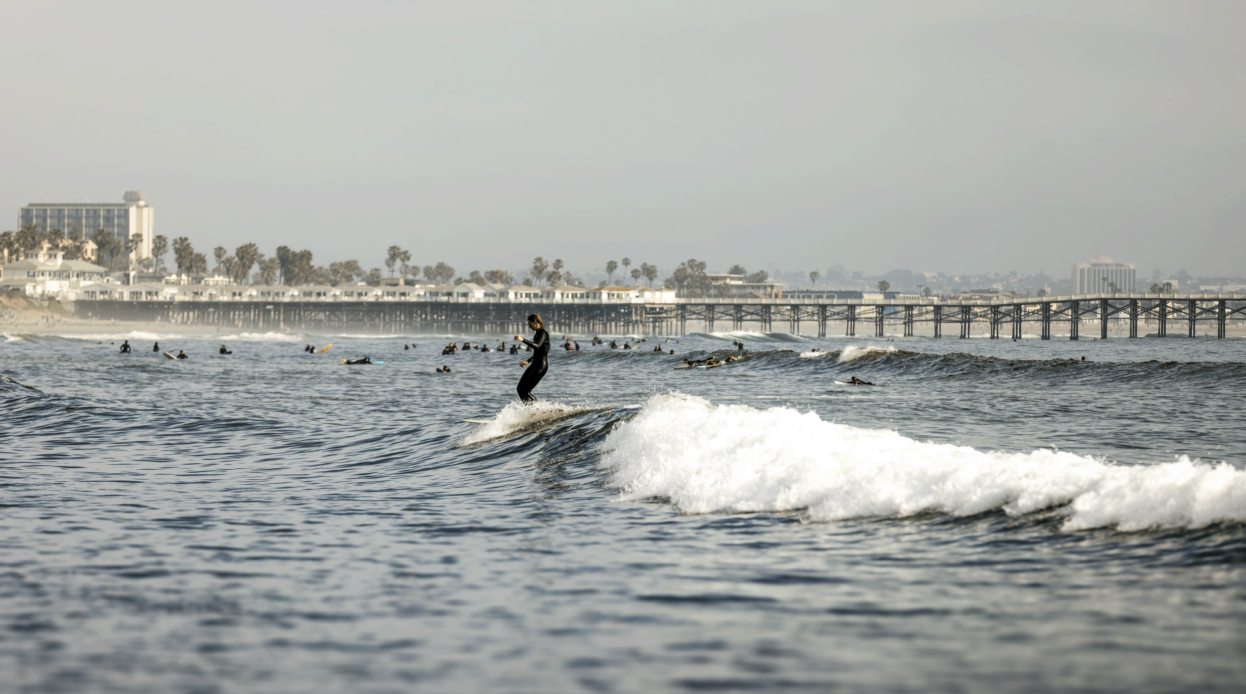 surfing pb_.png