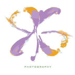 romansgallery