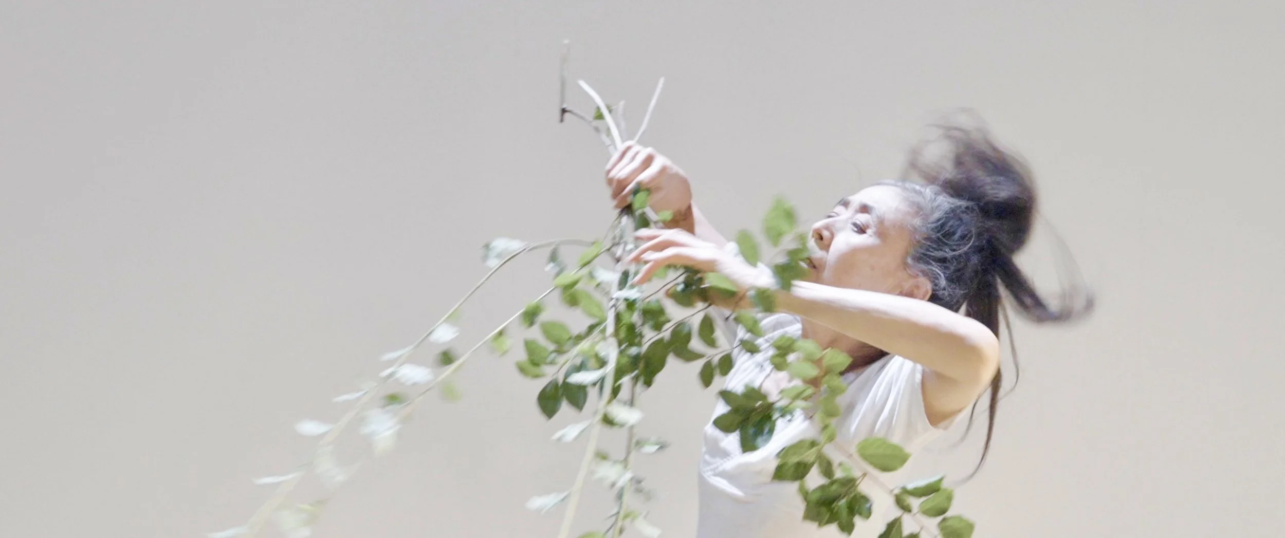 Mist_film still 2.jpeg