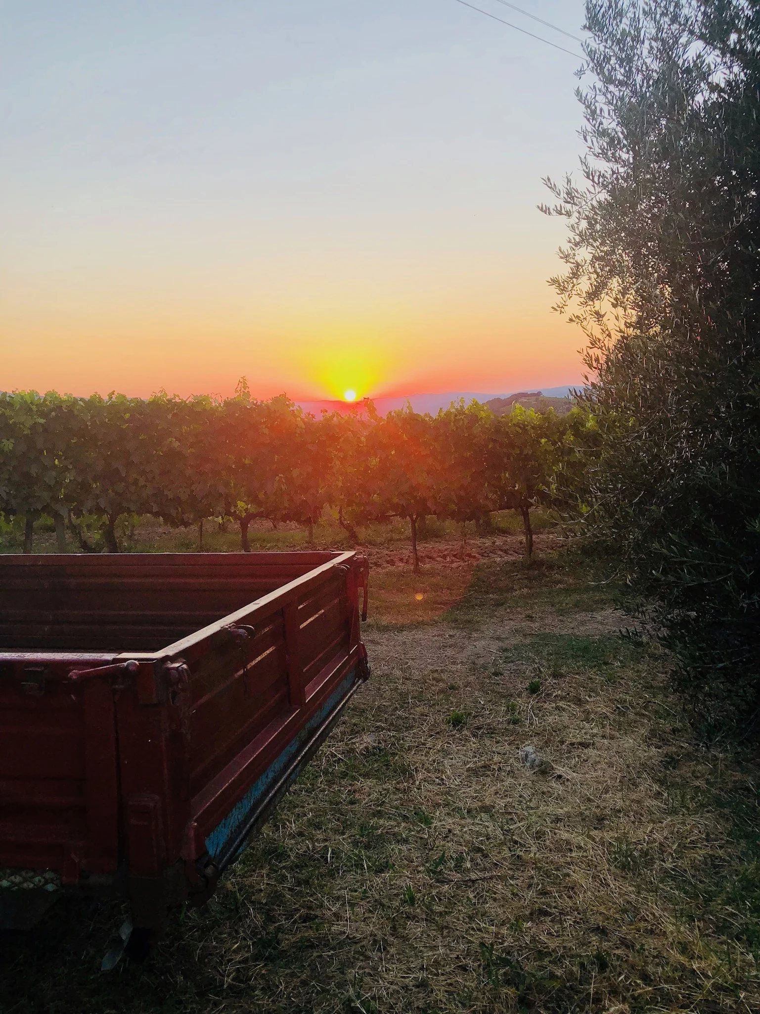 Goodbye, Tuscany. We ❤️ you.