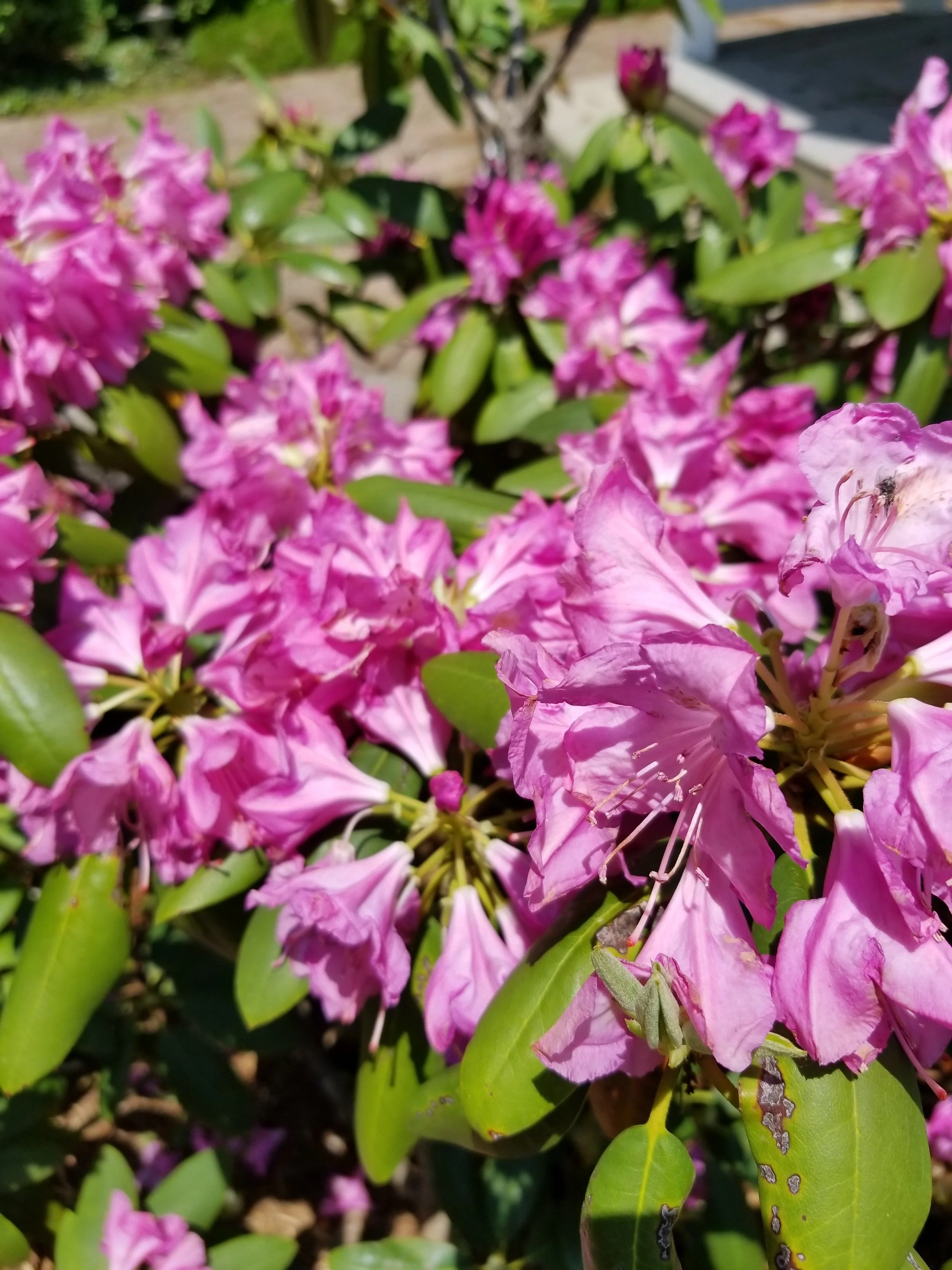20180520_135927.jpg