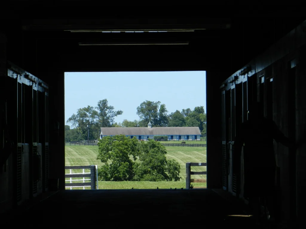 DSCN6236.jpg