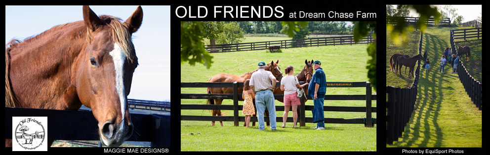 OldFriends-WebpageHeaderTemplate-2.jpg