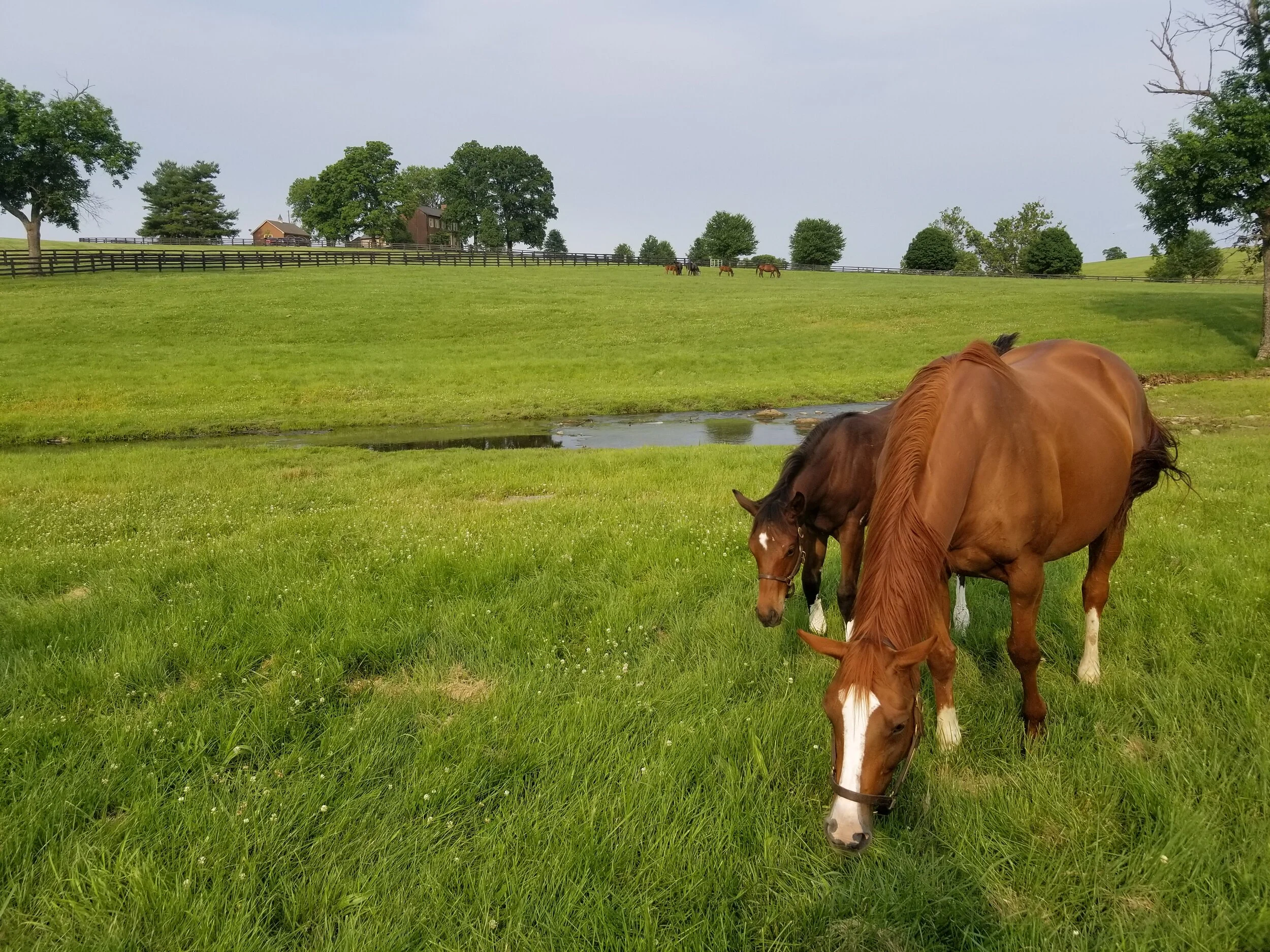 20190603_182713.jpg