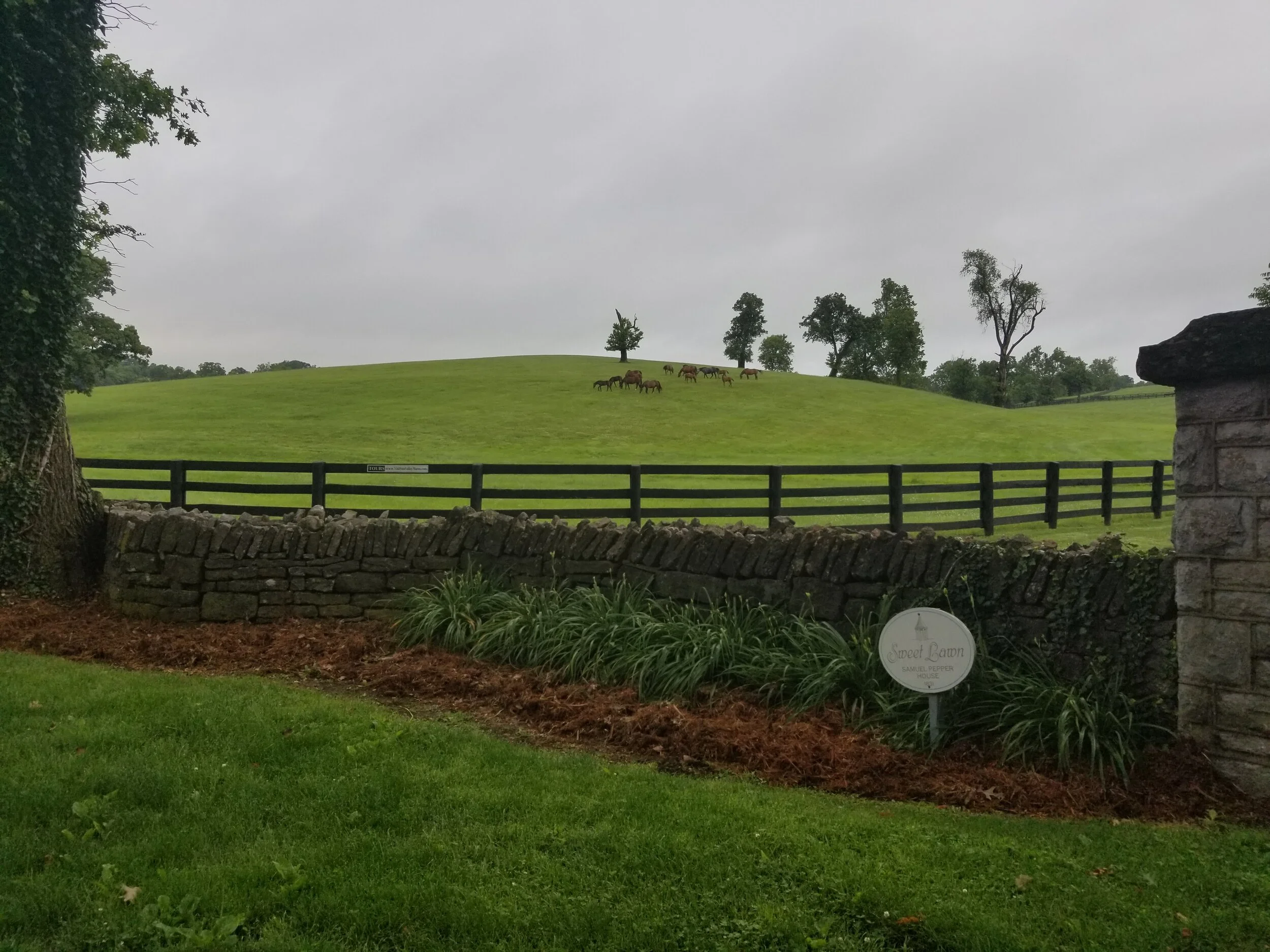 20190619_081643.jpg