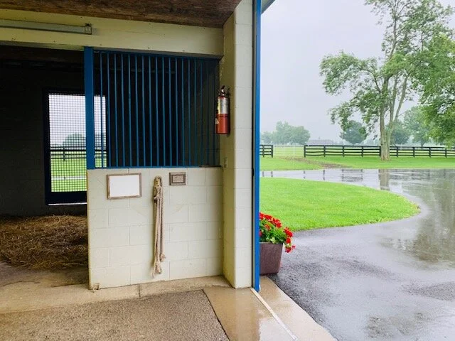 Barn 12 on a rainy day!.jpg