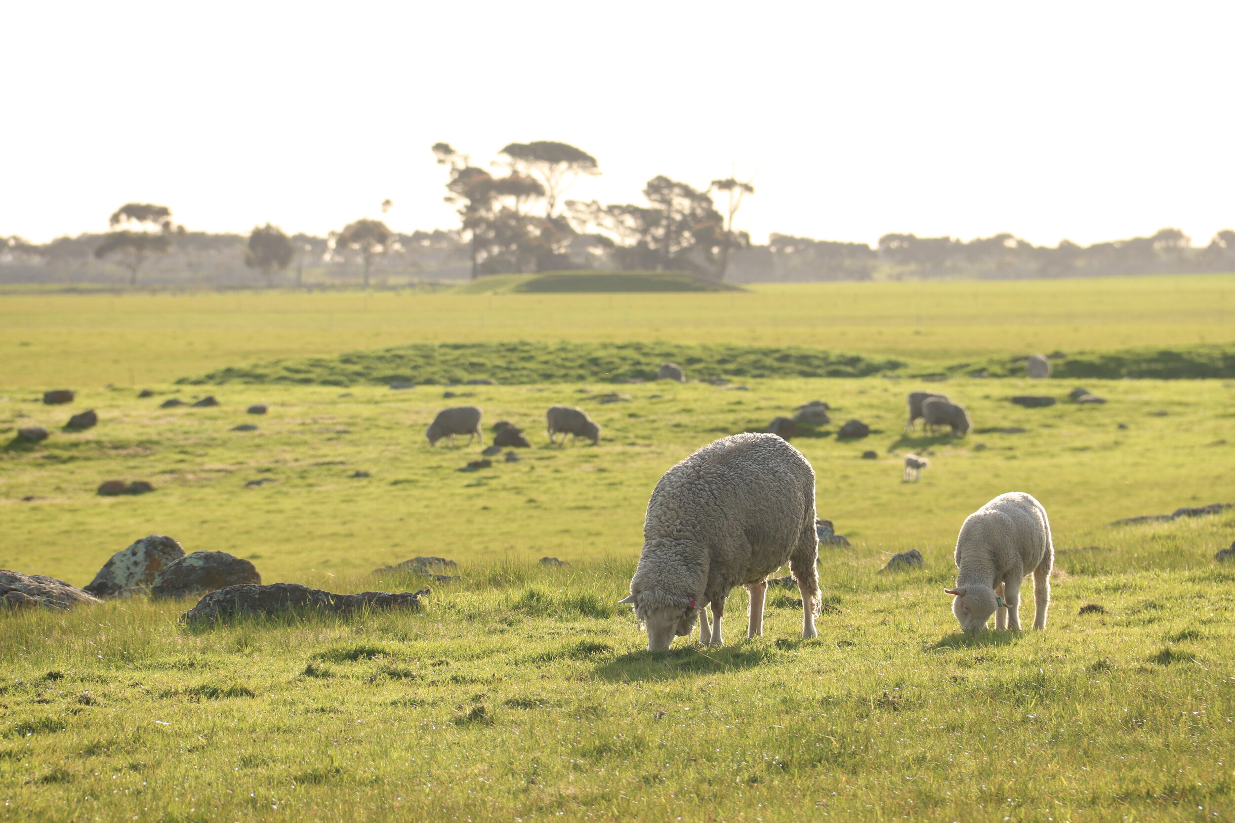 Photography: Corban Blampied, Te Pari