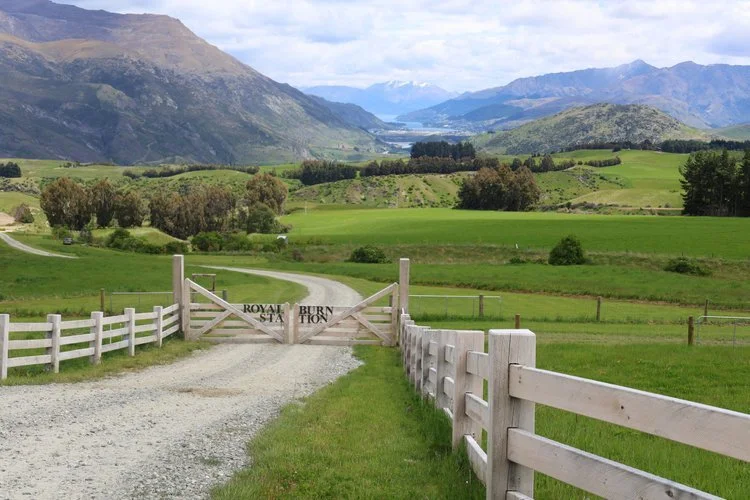 CHEFS OUT IN THE FIELD