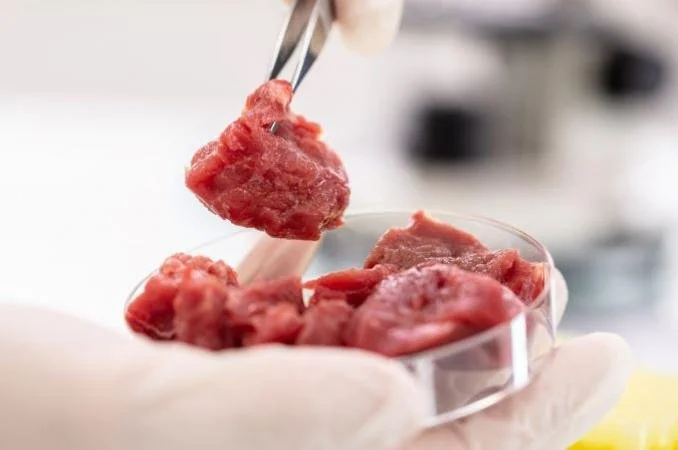 New research confirms red meats nutritional advantage over alternatives