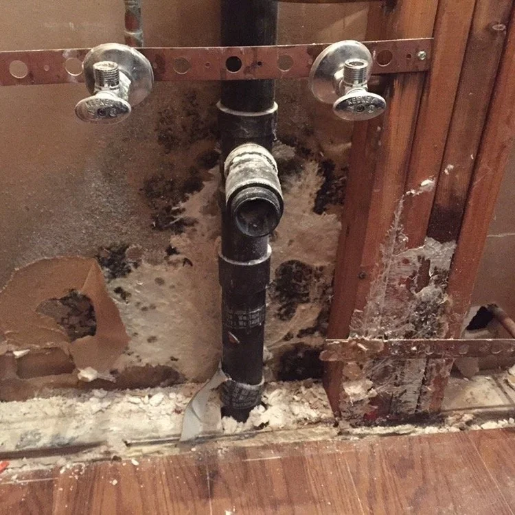 If you can smell mold but can’t see it, it’s there. An inspection into areas where there is moisture or where there was a previous leak may be required to find it.
