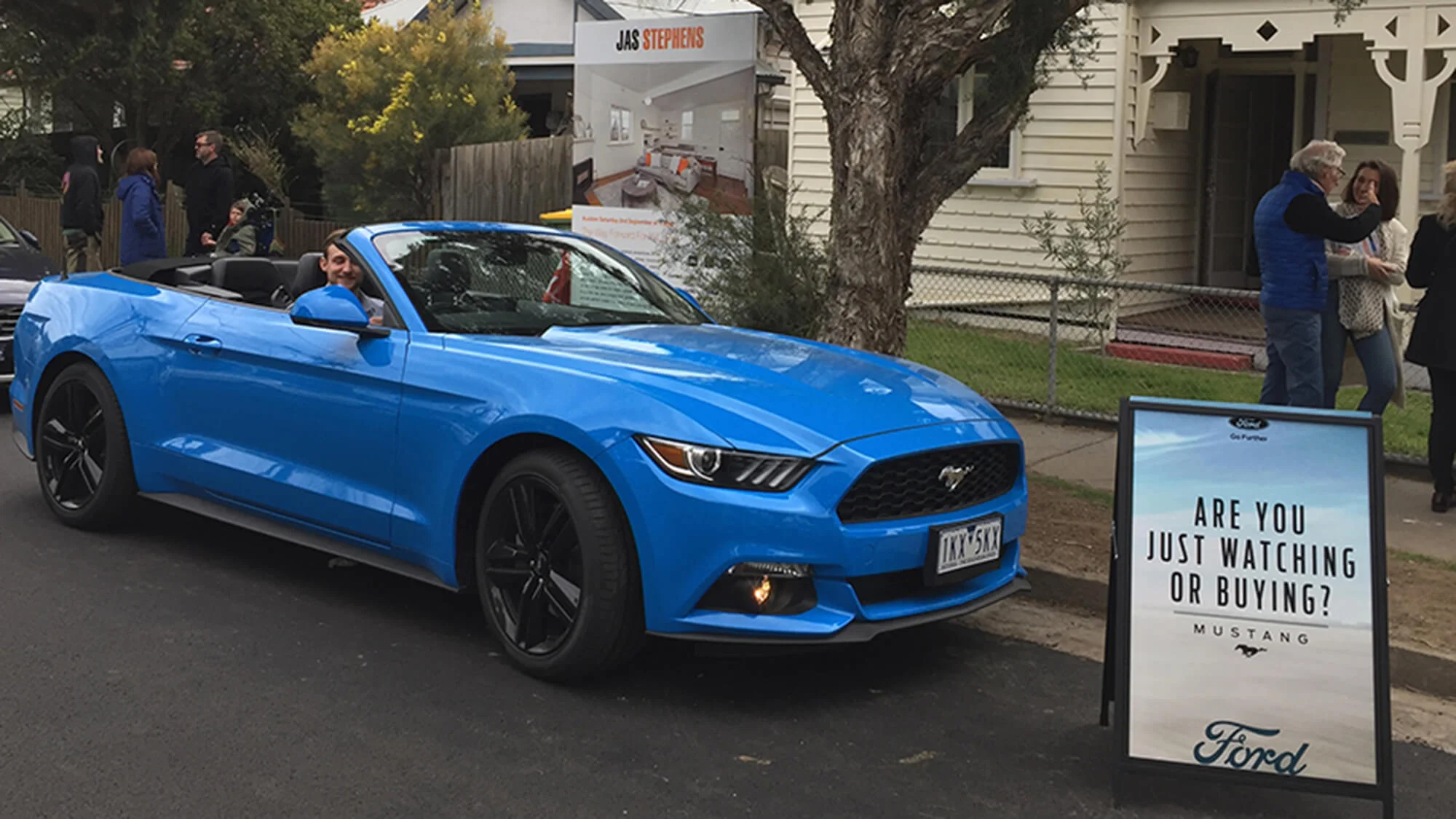 mustang.jpg
