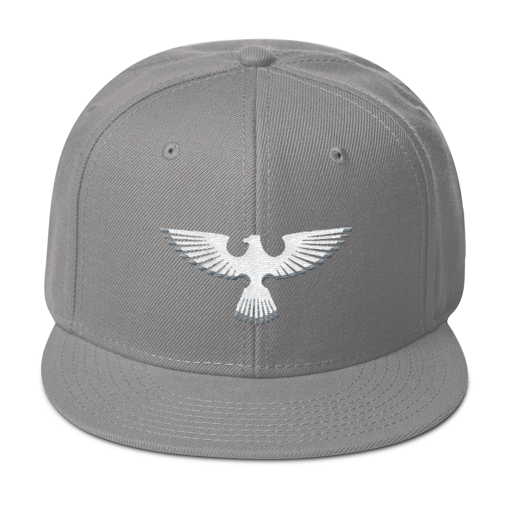 Silver-Eagle-Logo_mockup_Front_Gray.png