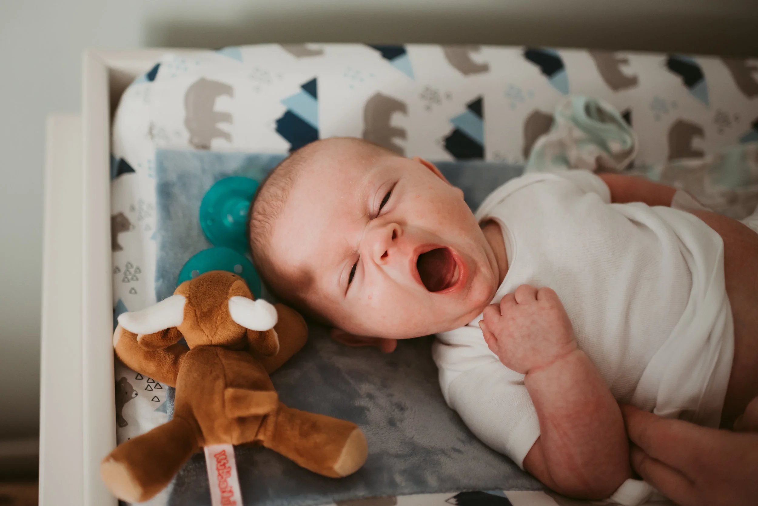 Austin Newborn Lifestyle 1.jpg