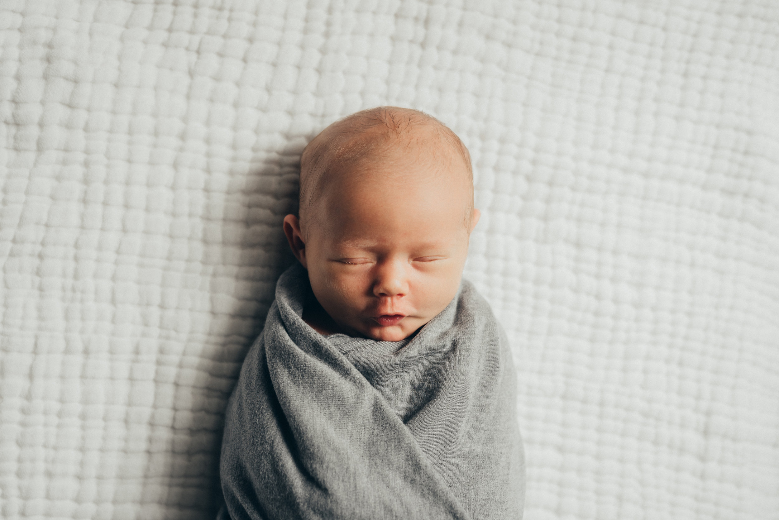 Natural-light-newborn-portrait-baby-boy5.jpg